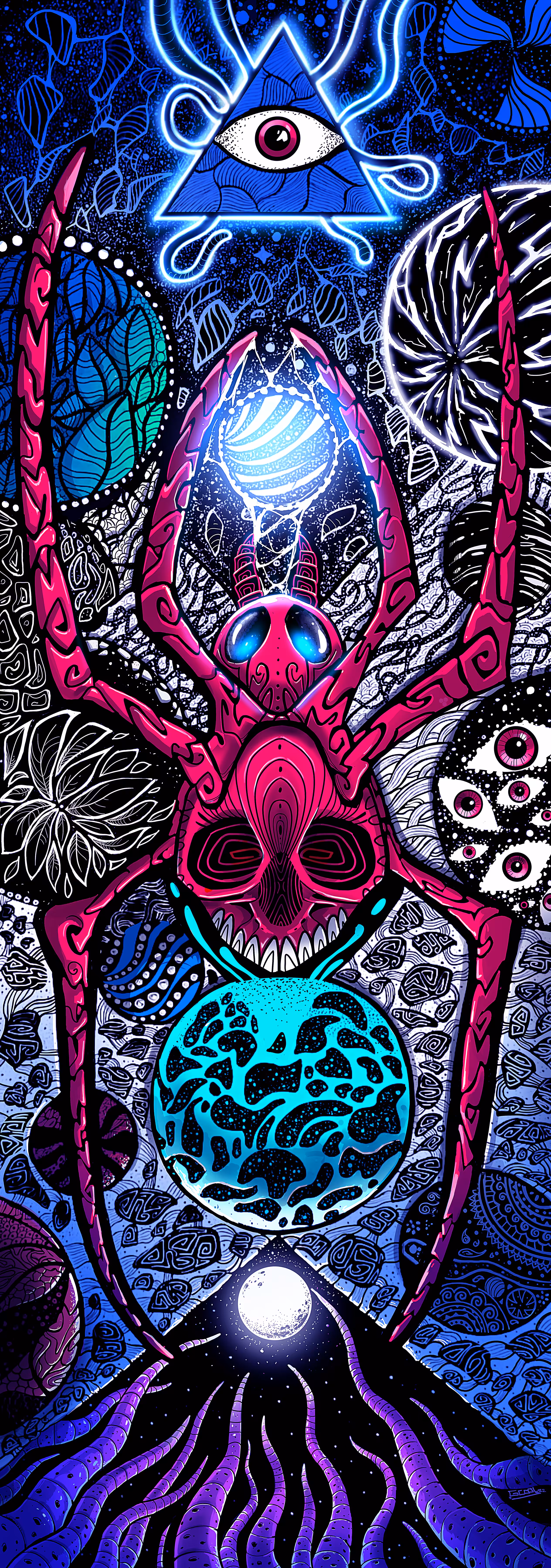 Spider