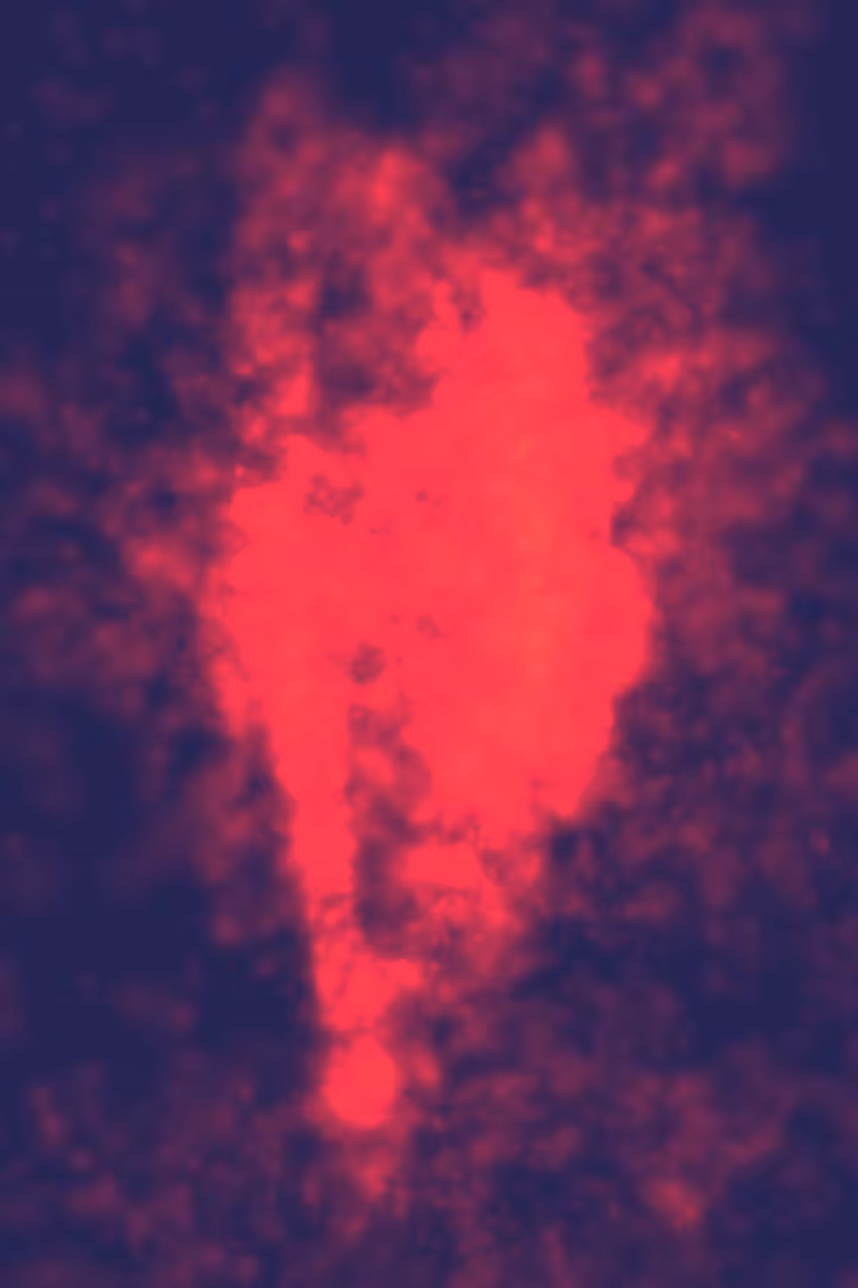 Orchestrated Chaos #5