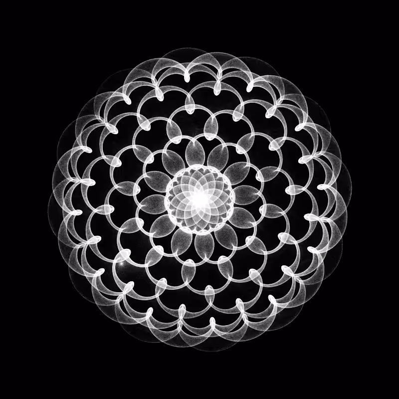 Many worlds #52