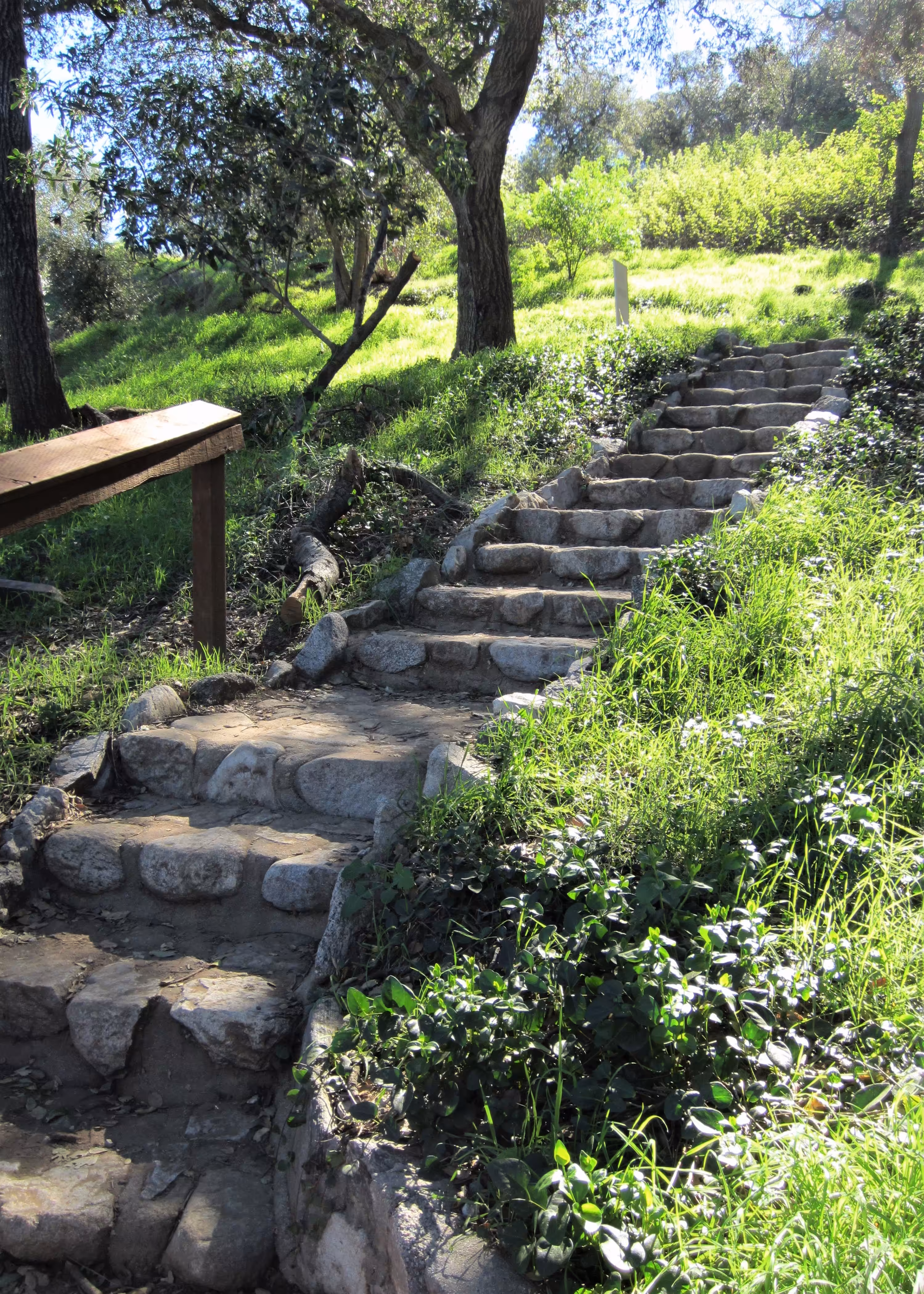 Ascending 3
