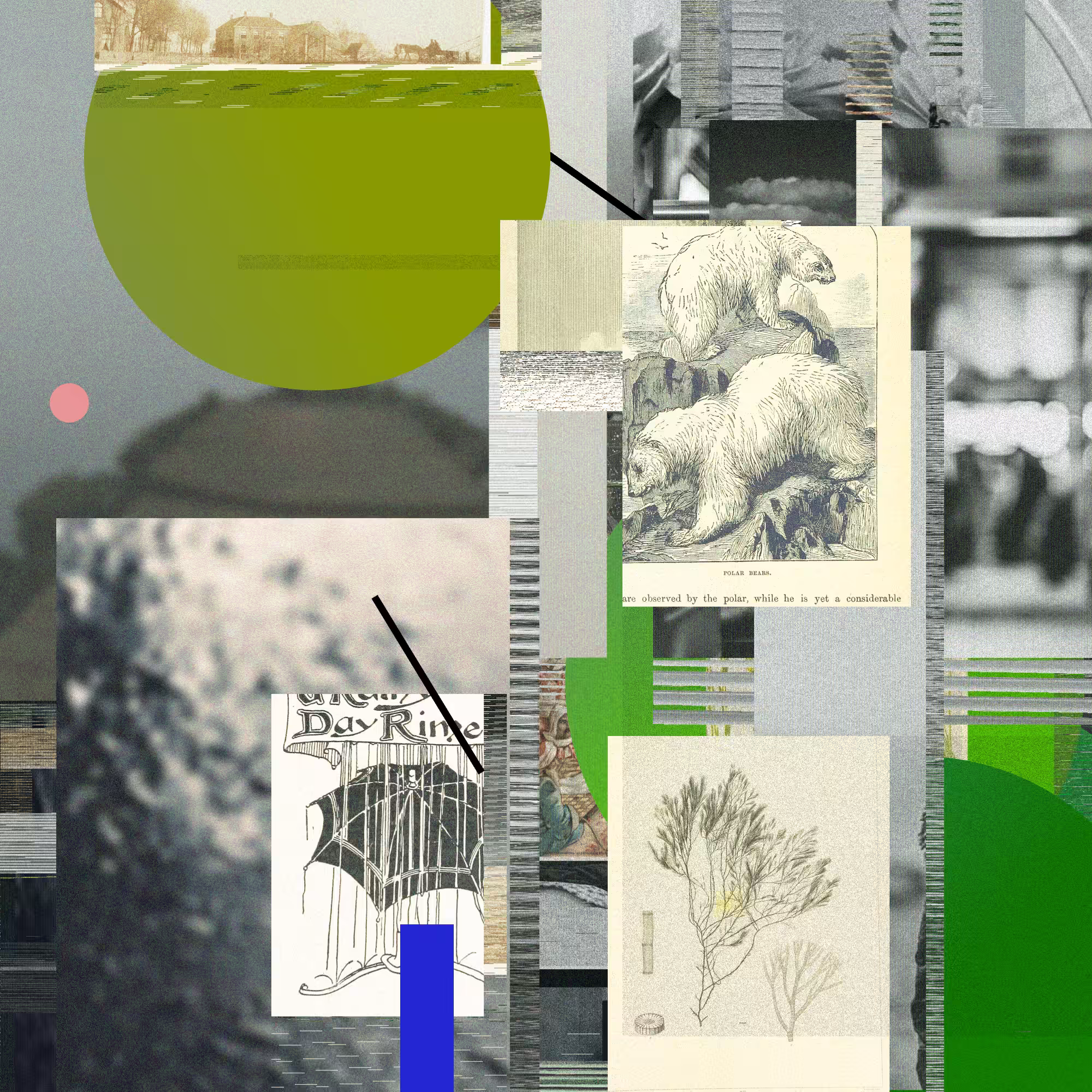 Unconscious Collages #329
