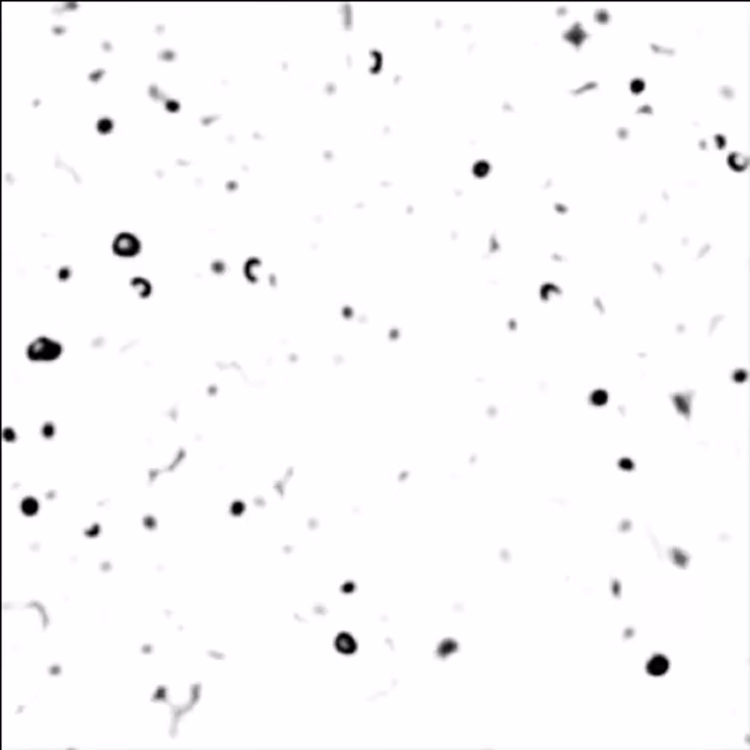 non-equilibrium bubbles B 1000