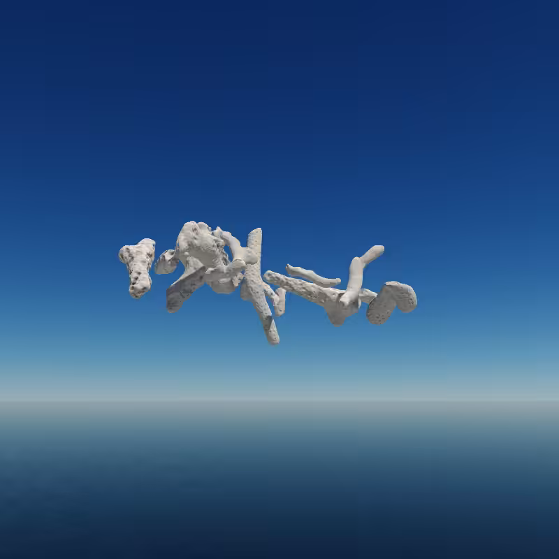 Bone Work (Gulf of Mexico) 2022 #57