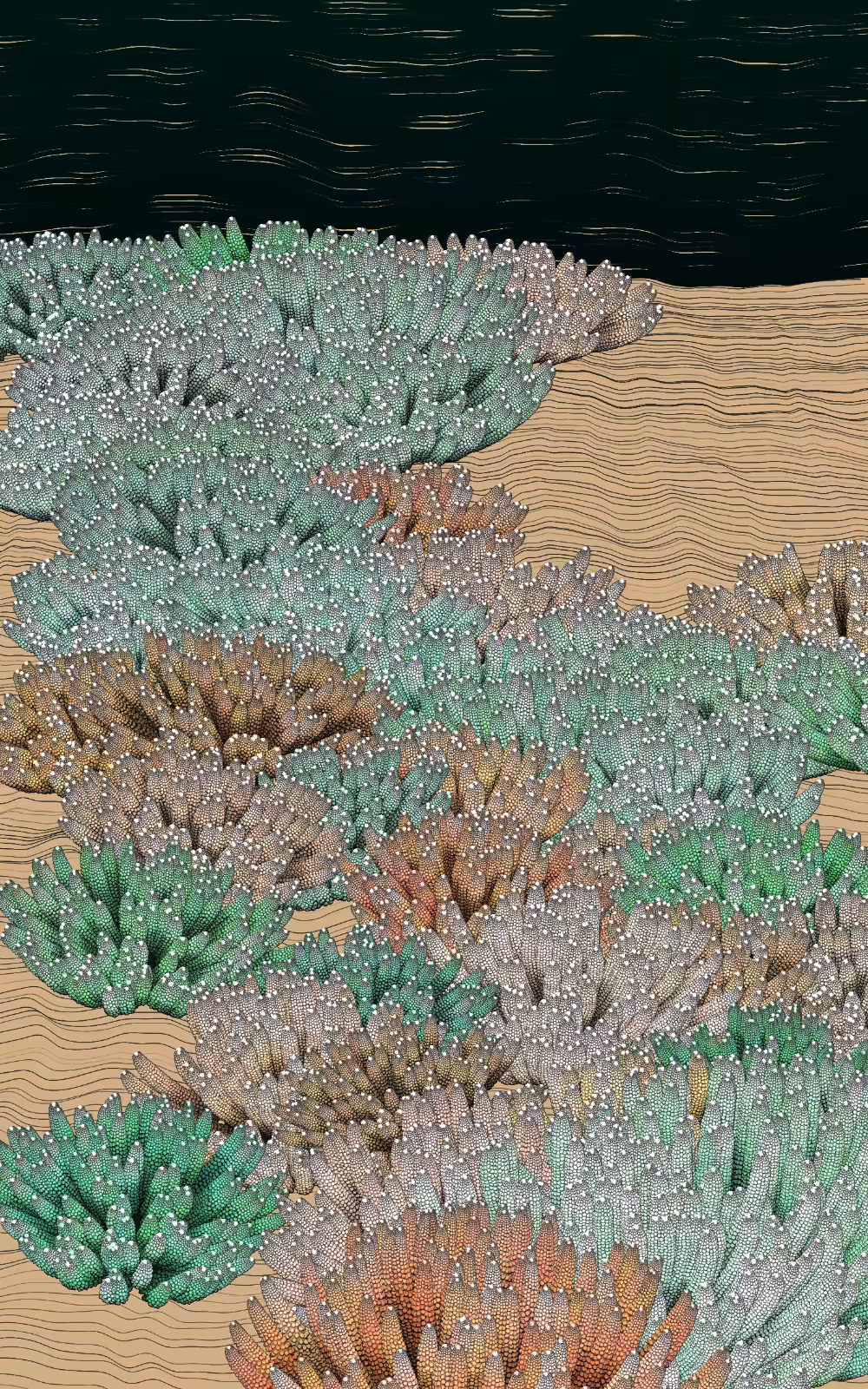 The Restoration Scheme: Bleaching #57
