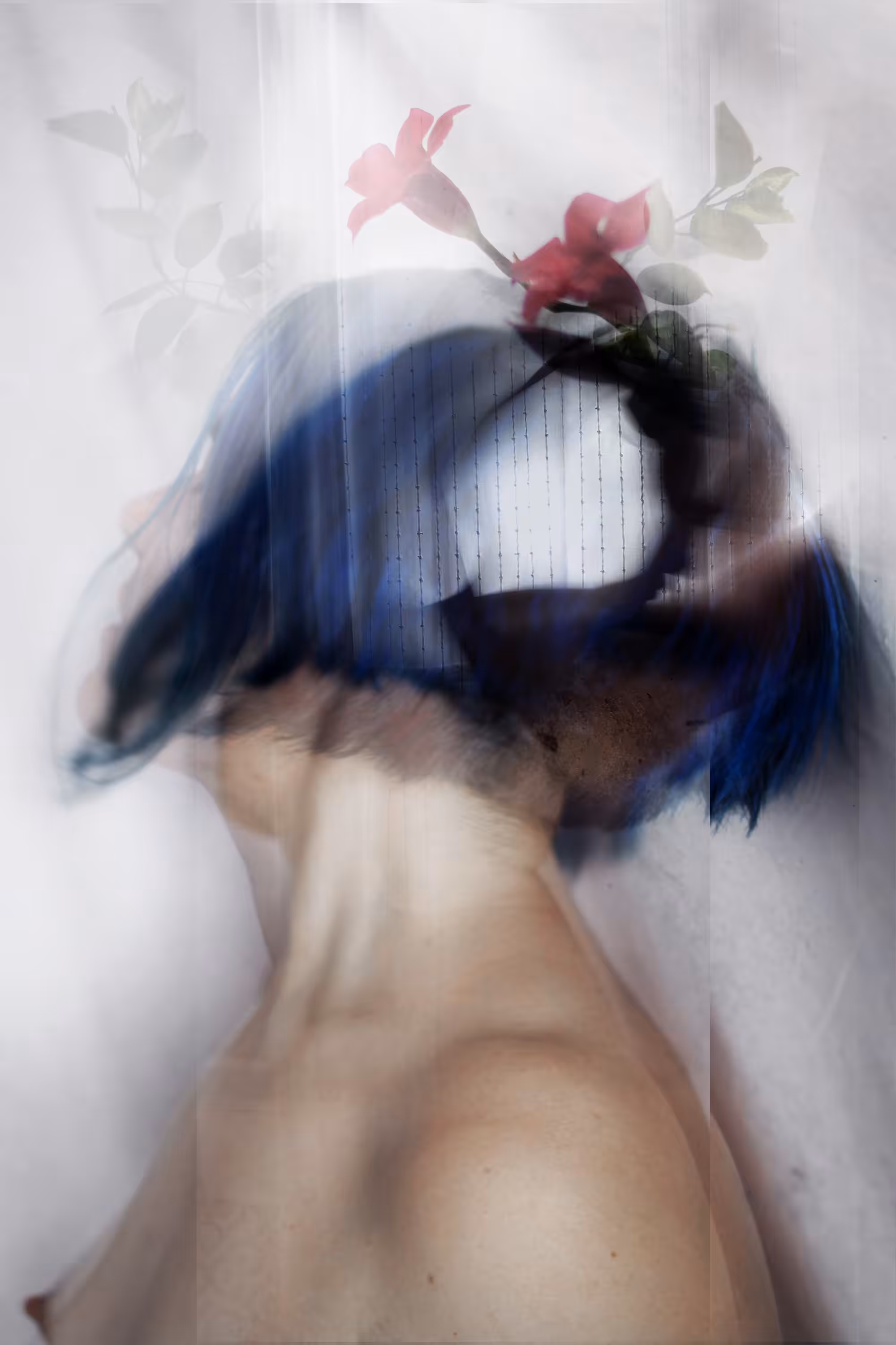Age Of Illusion