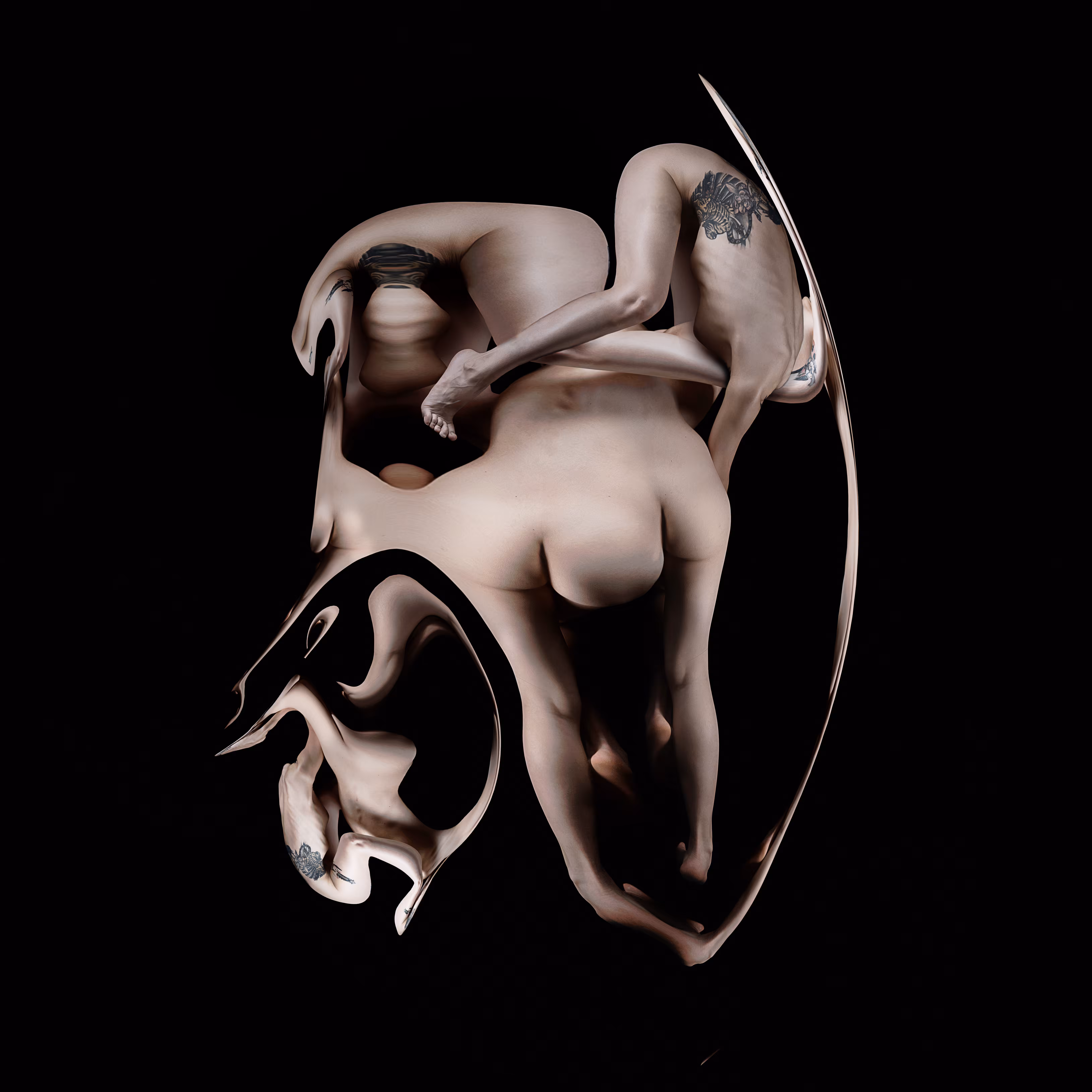 The Human Structure