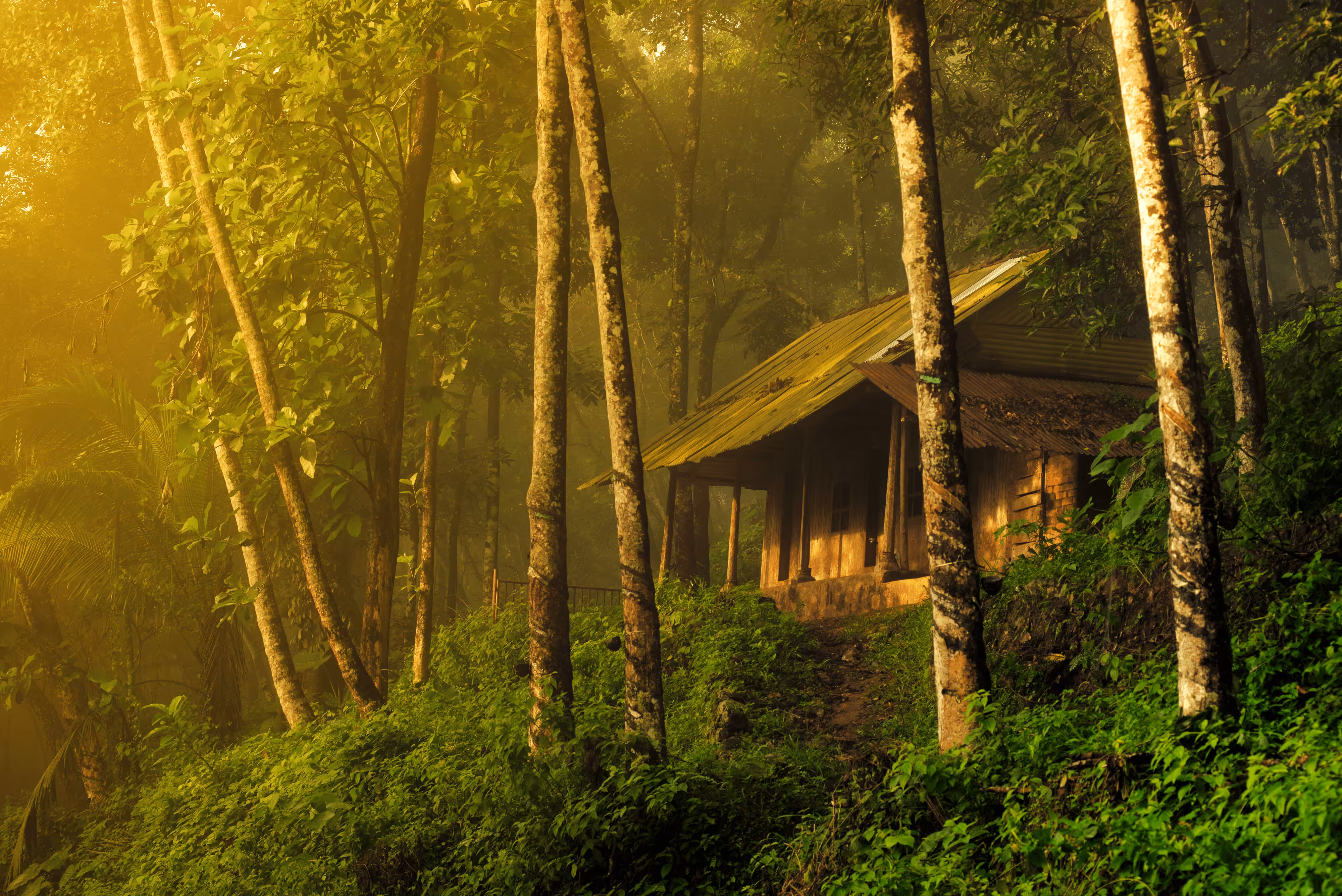 Early morning at the farmer's cabin