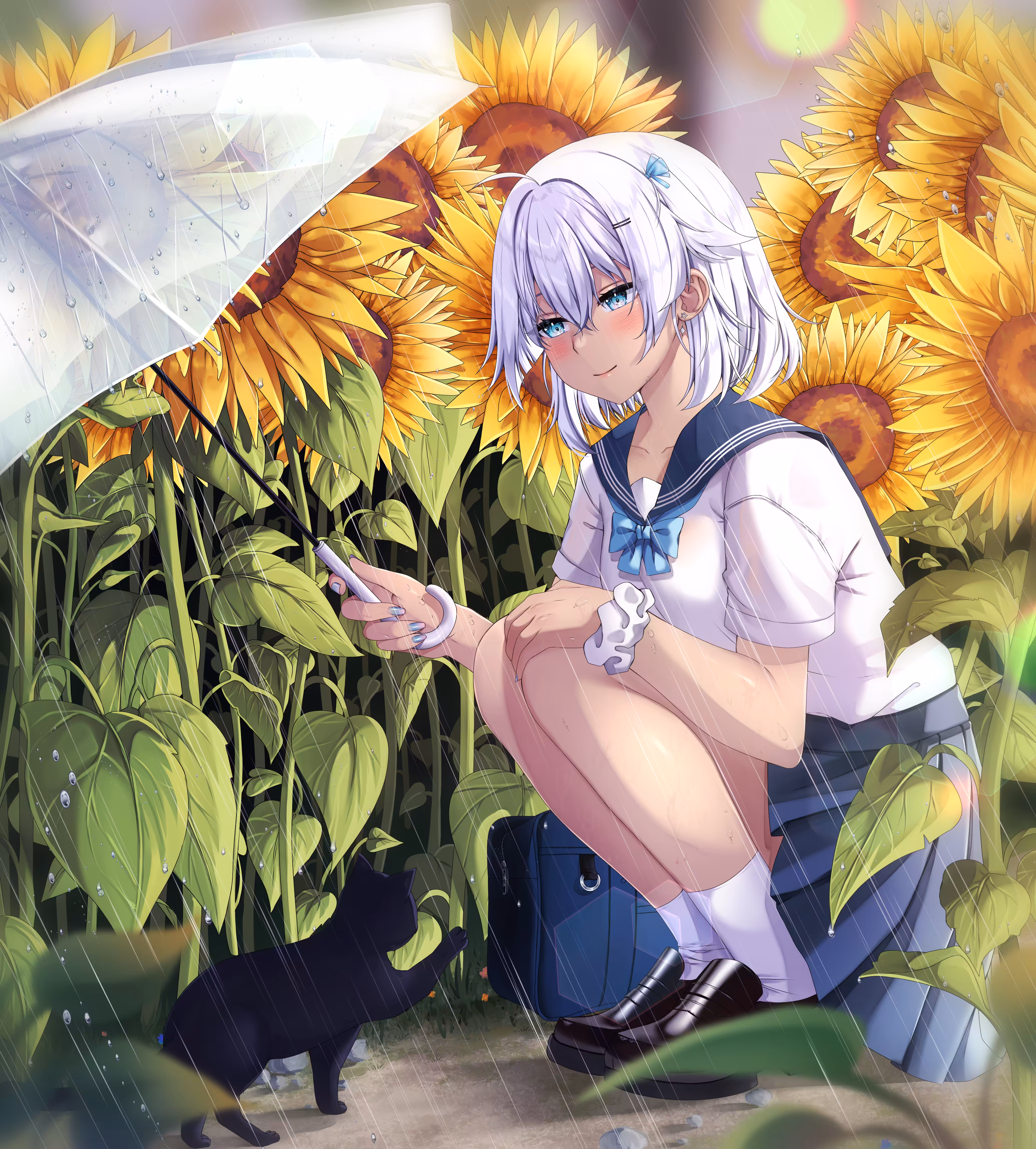 Cat Lover