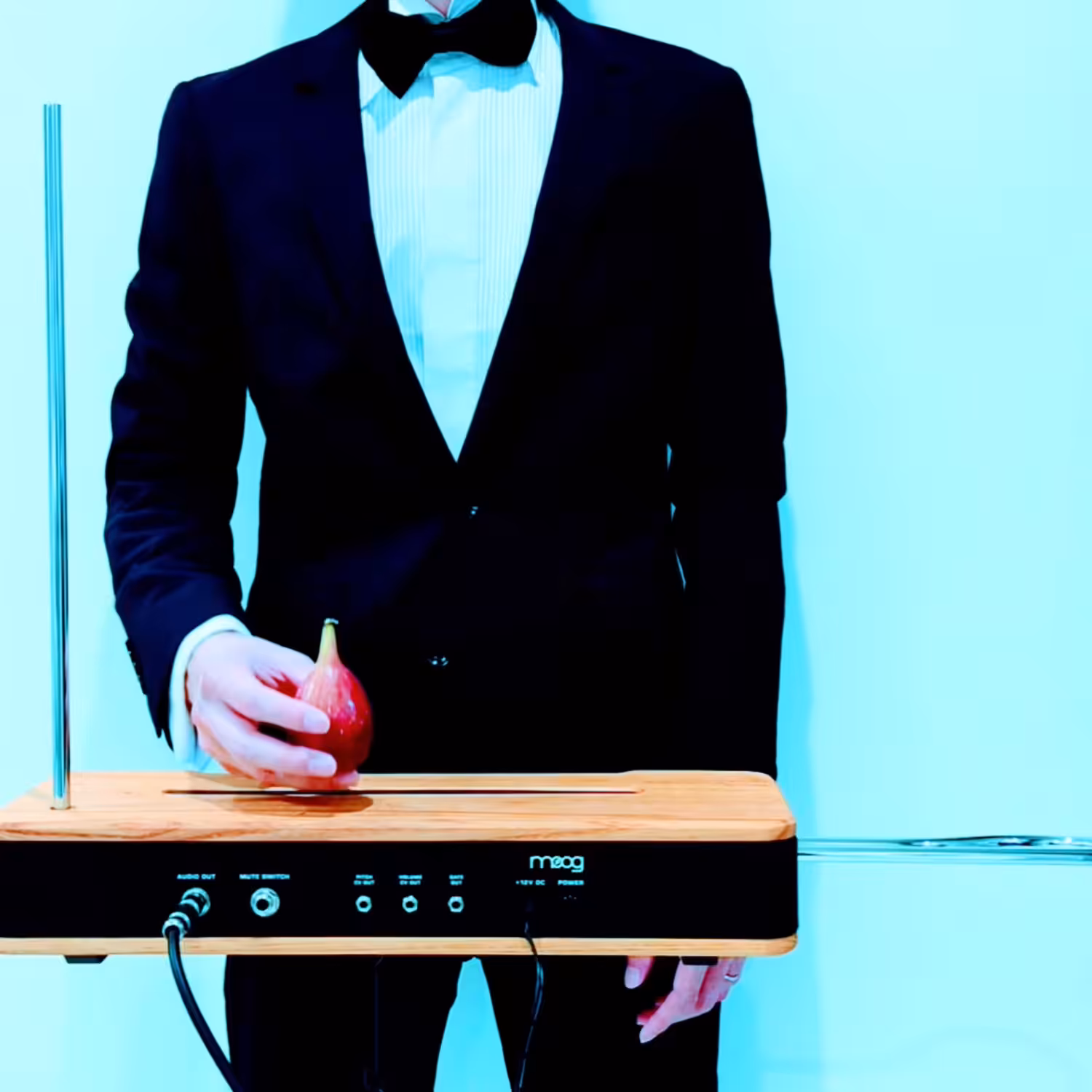 "Fig" - 8 Bagatelles for Theremin and Autumn Fruits -