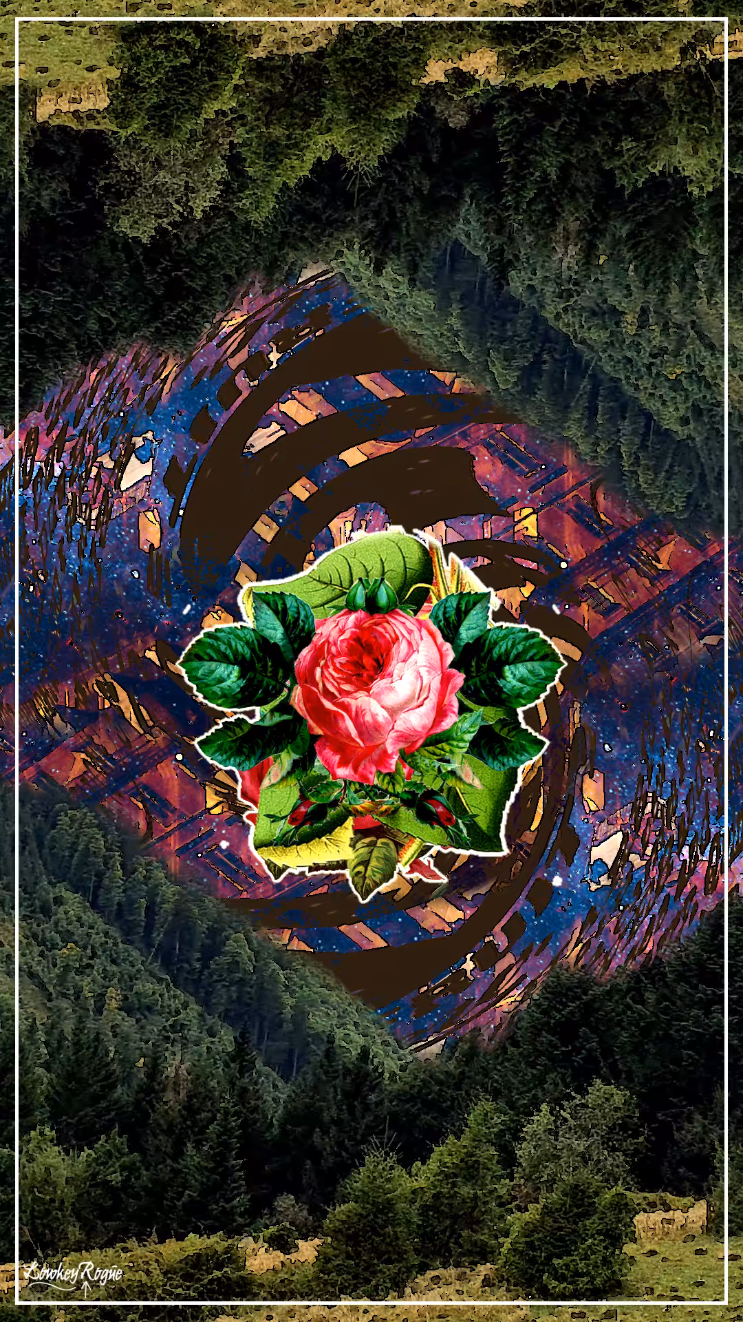 The Rose