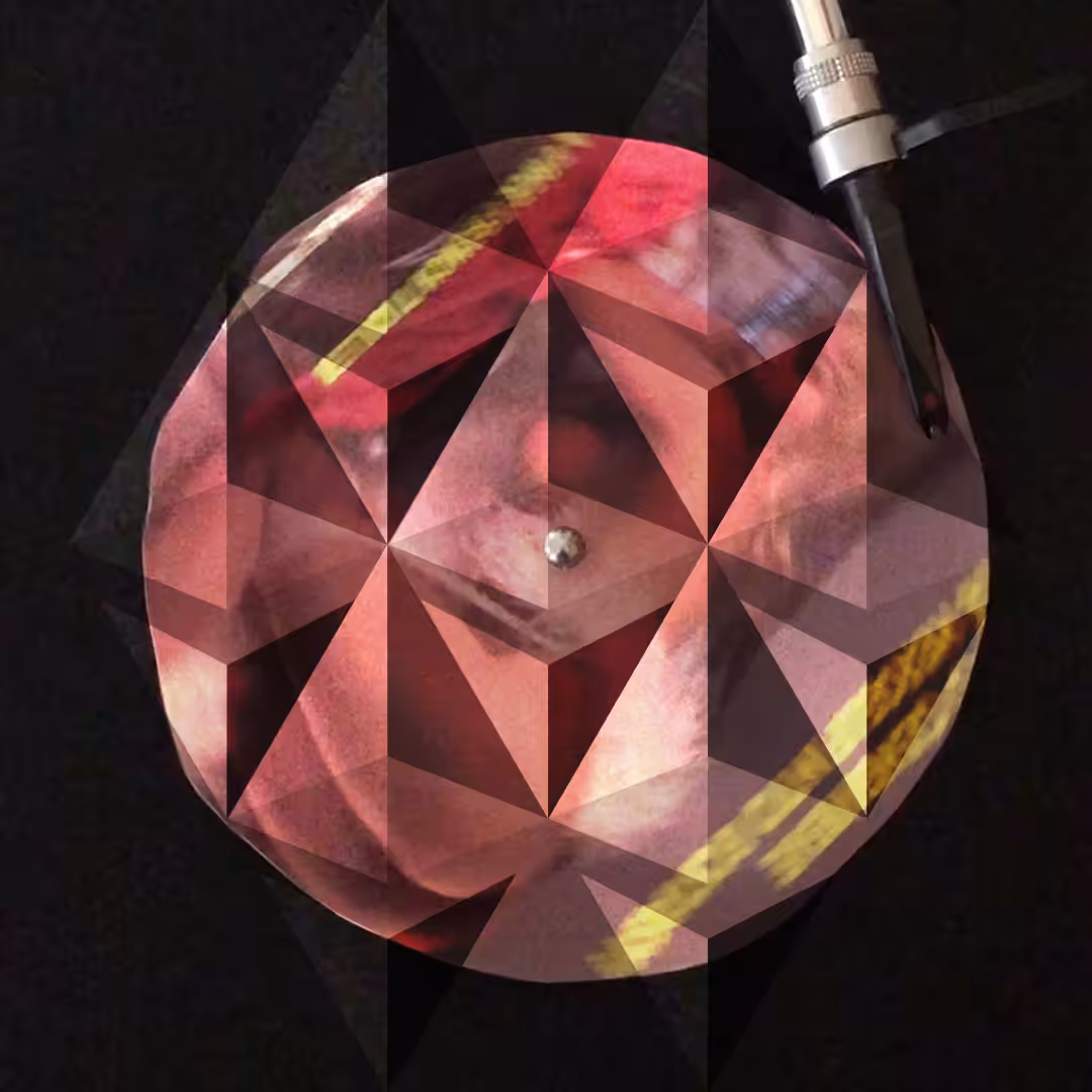 CRYPTO EROTIC 1981