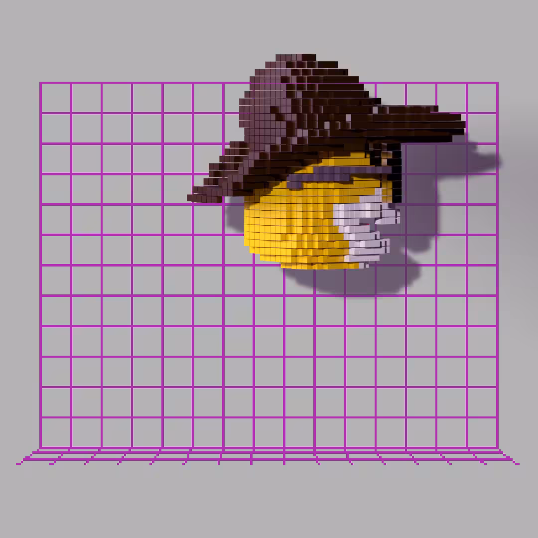 Voxel Eric 11