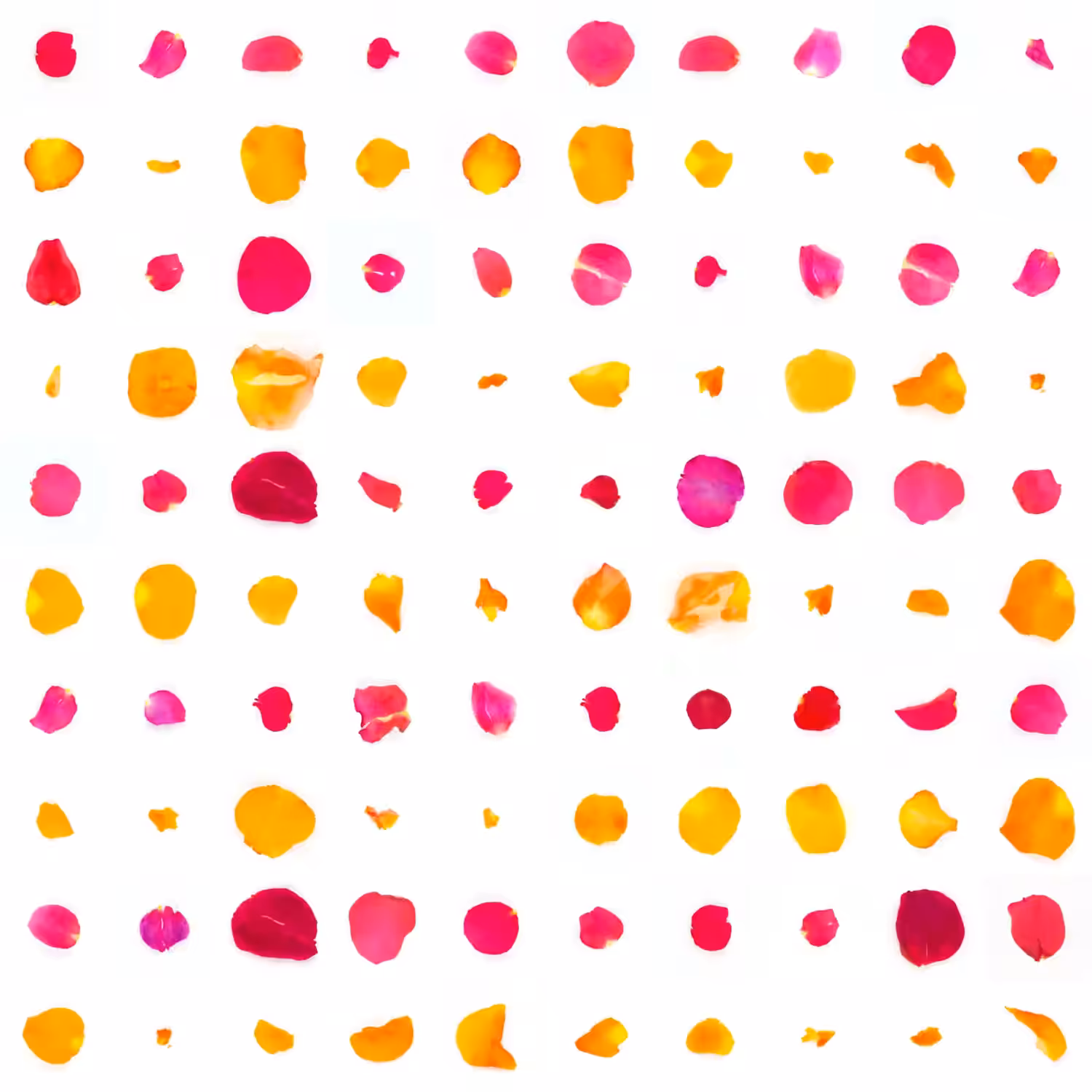 Infinite Petals 10x10#10061