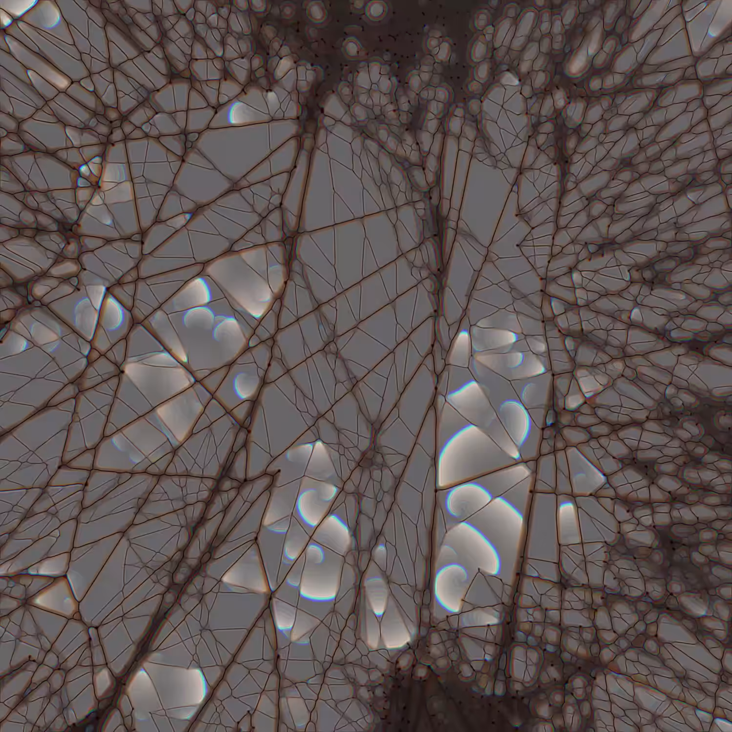 Mesh Reclusions