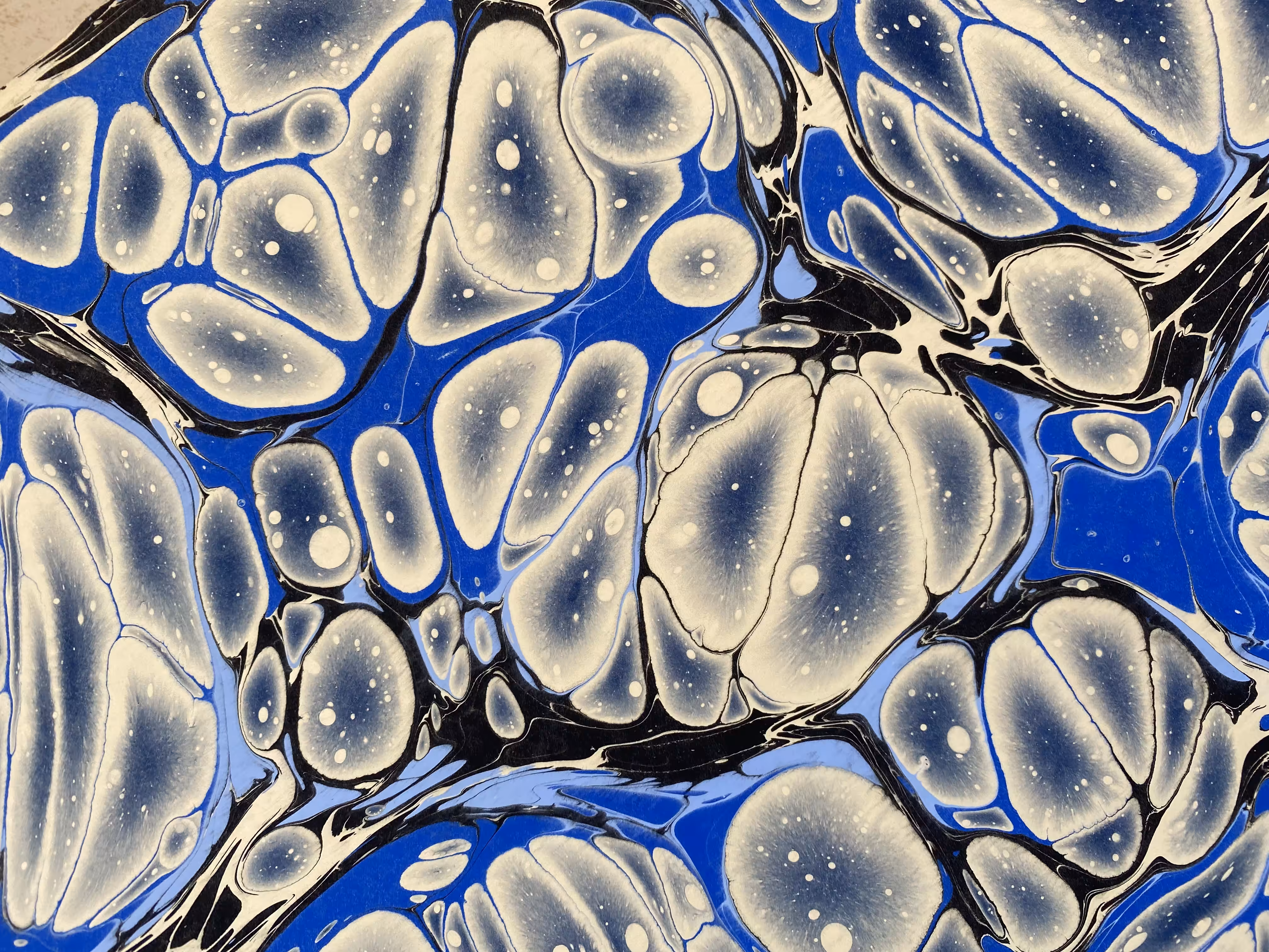 Battal Ebrû / Marbling Art SE #23
