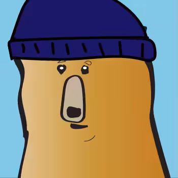 Burglar Bear #22
