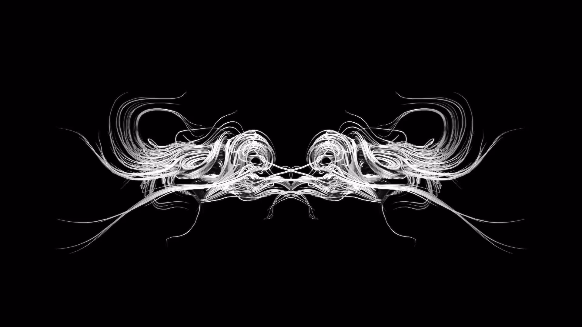 Entropy 31