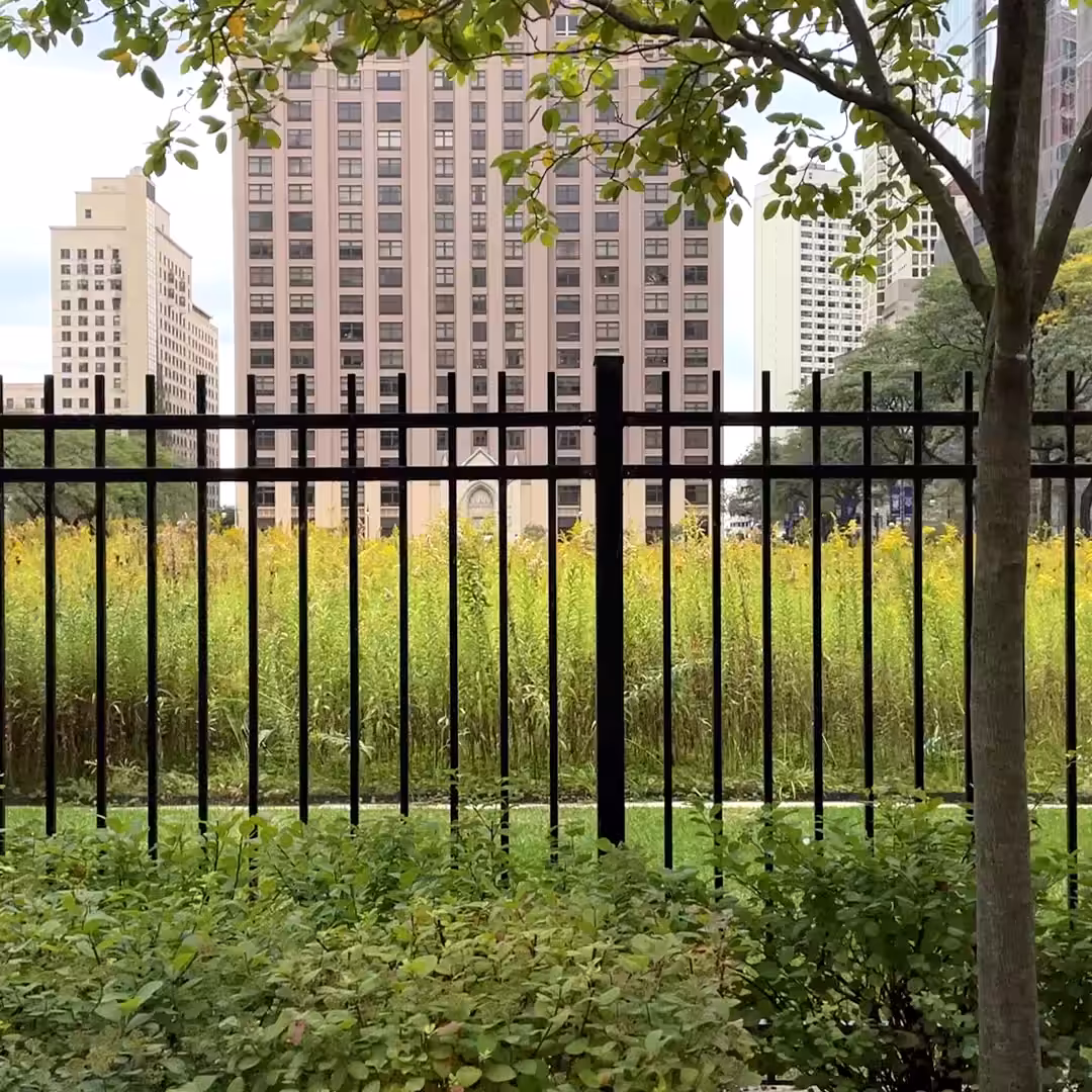 MOMENT#54(City garden)