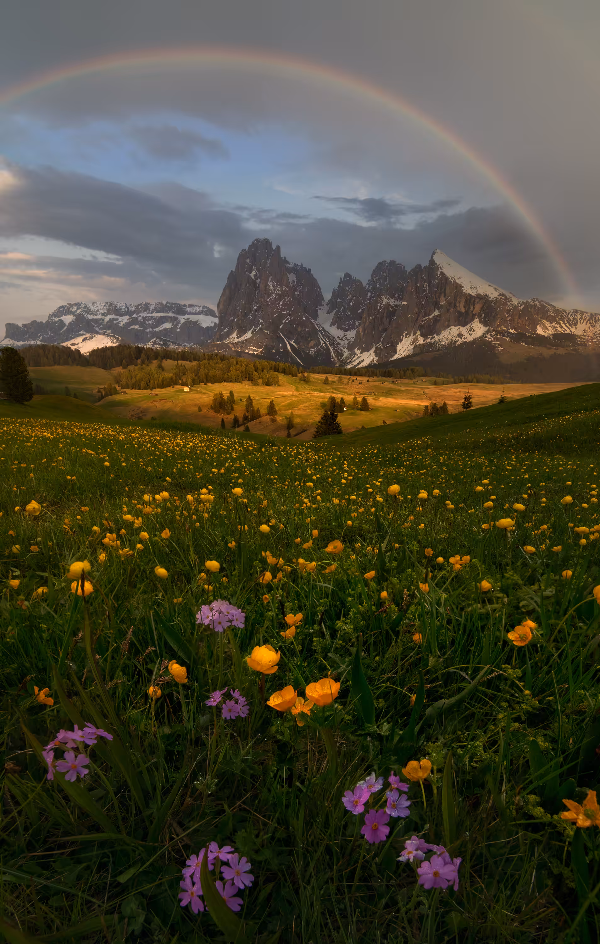 Seiser Alm