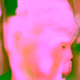 Subhuman #2139