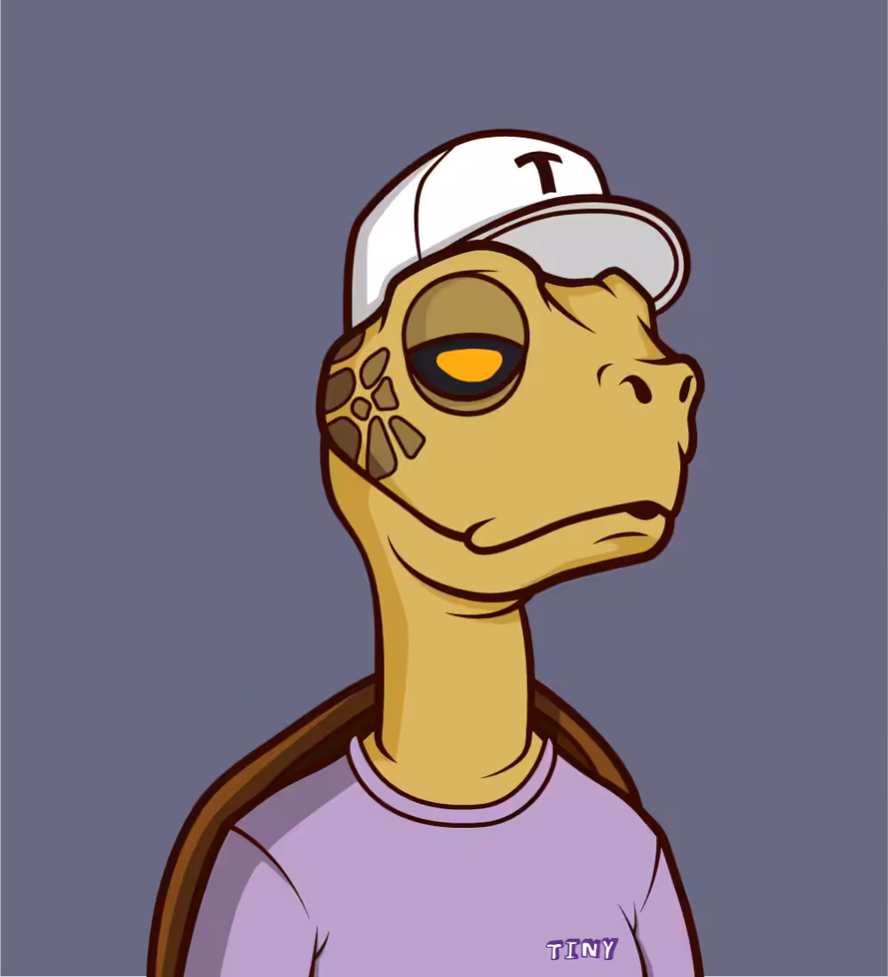 Tiny Turtle 135