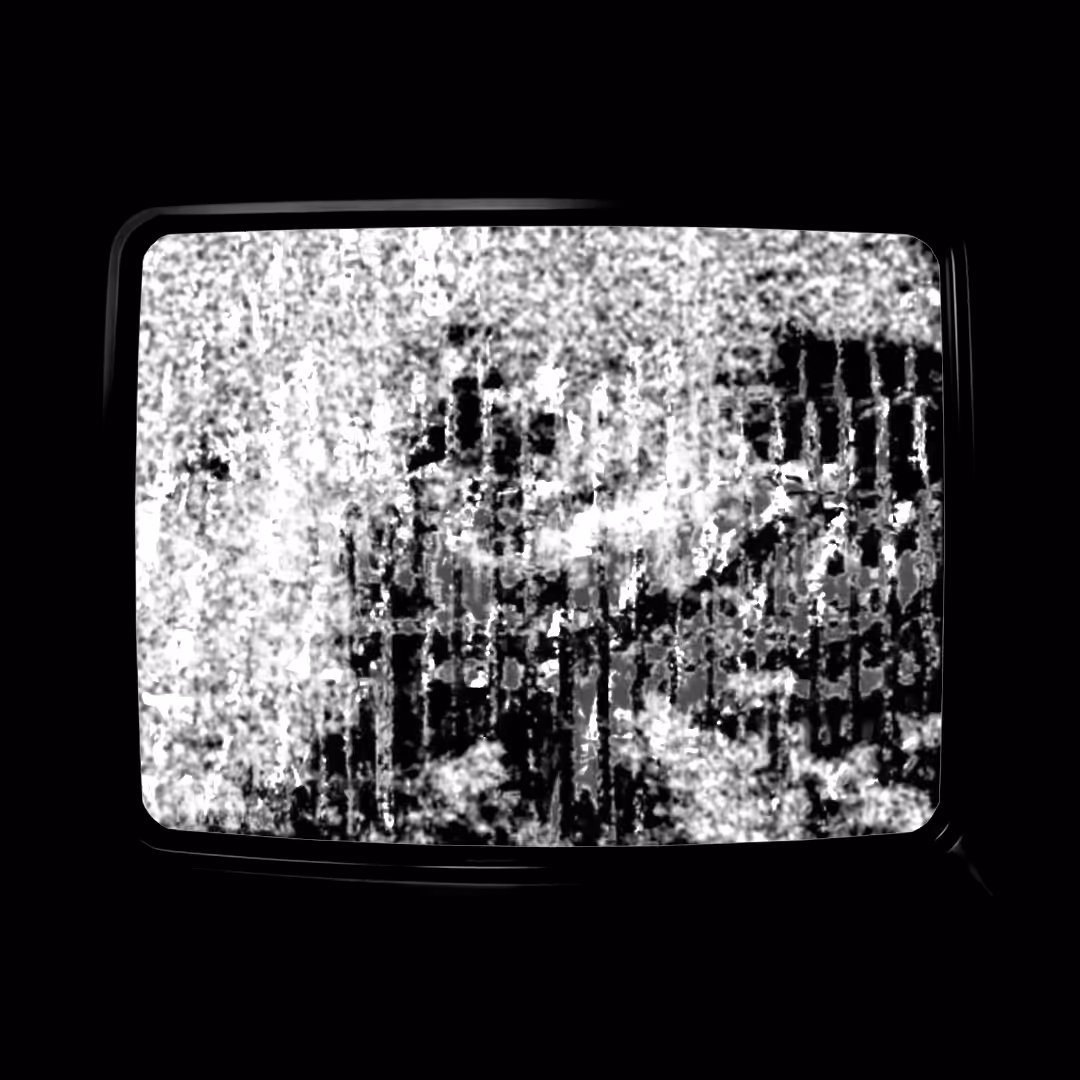 CRTTV MONO 301