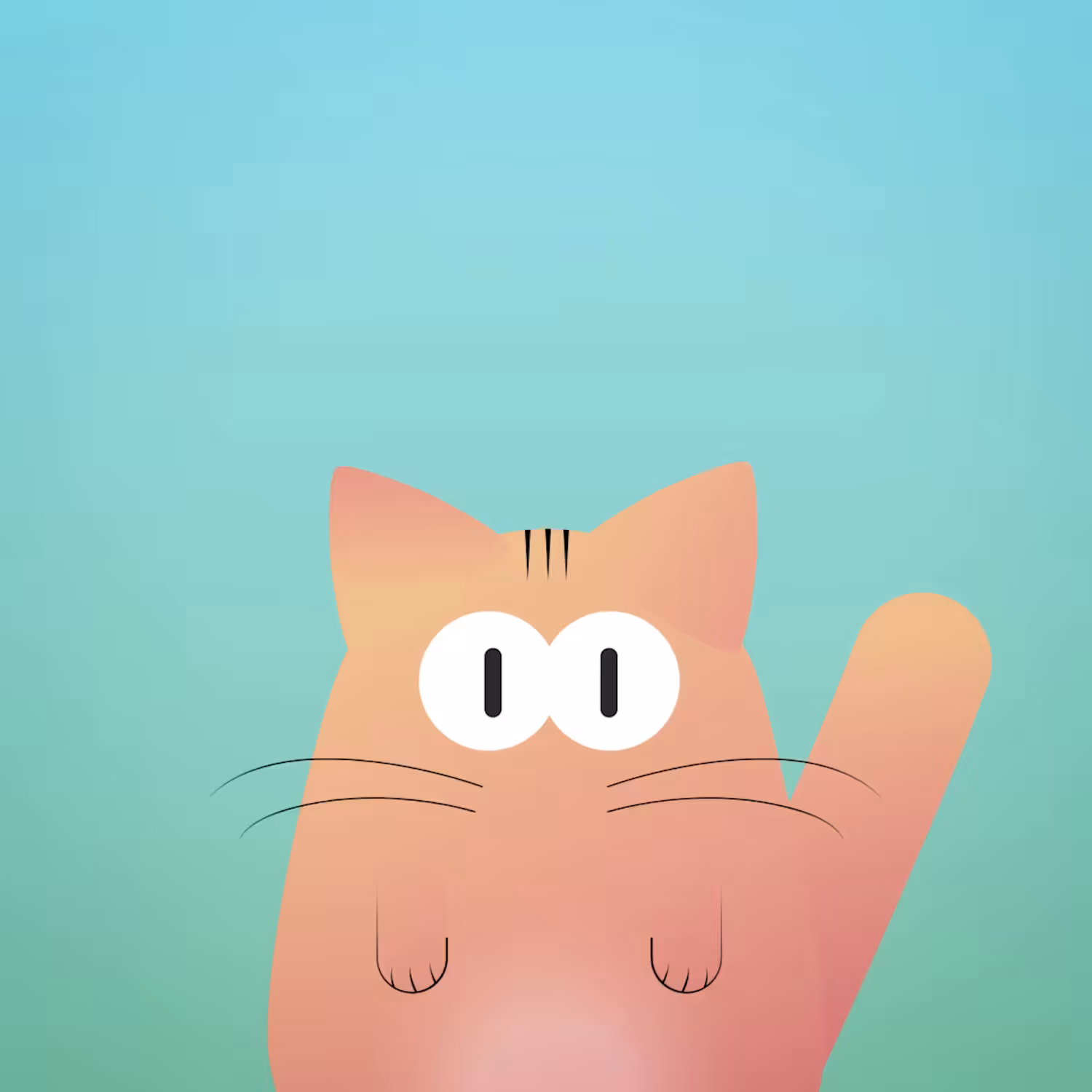 Shape cat