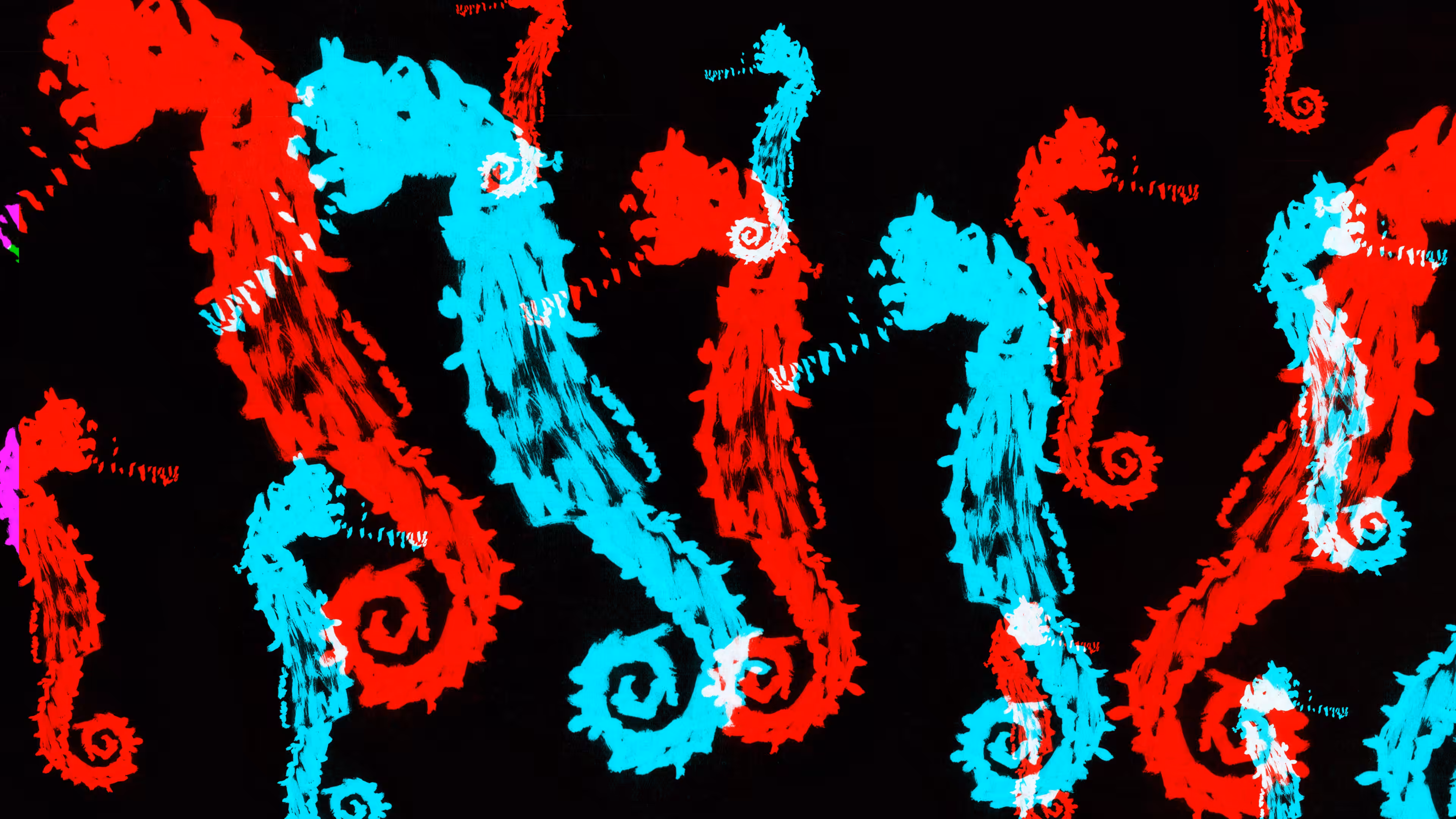 zebra and seahorse