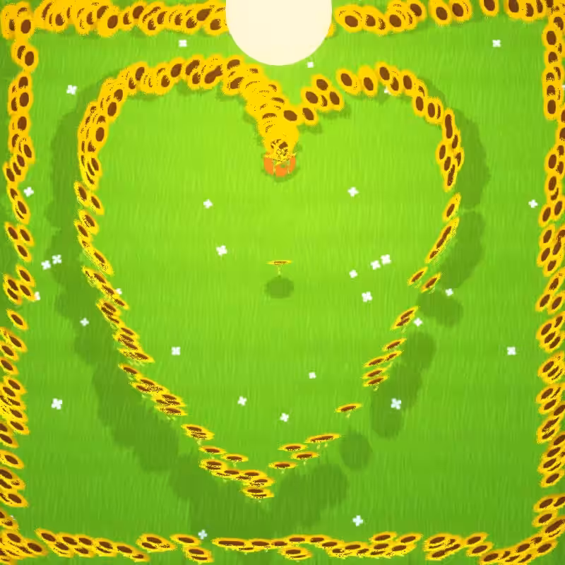 Sunflower Sketching