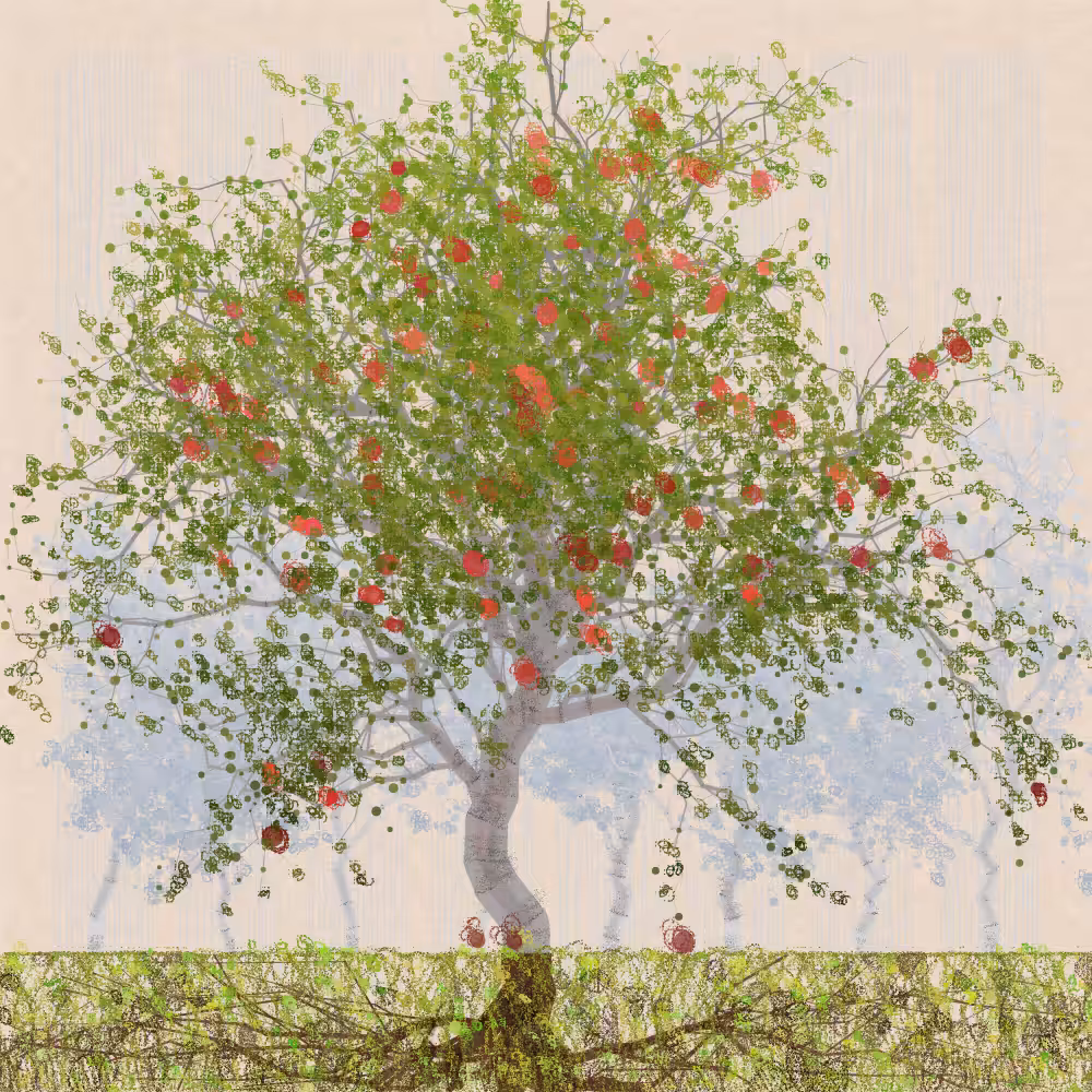 Orchard #53