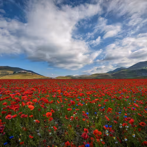 Castelluccio di Norcia #1