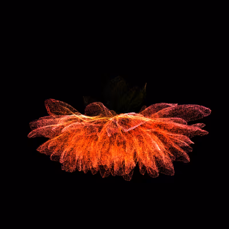 Dahlia Pinnata 30 #94