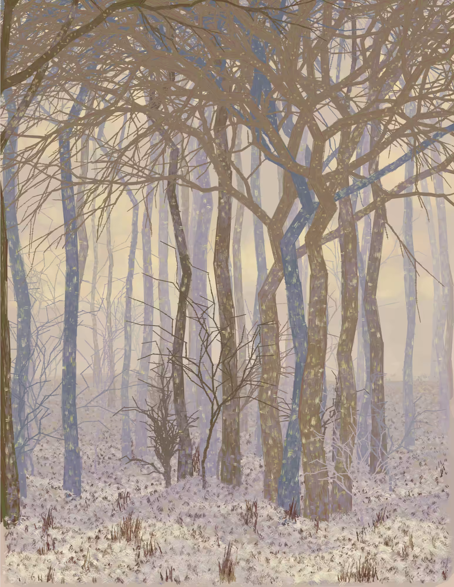 Deep Forest #28