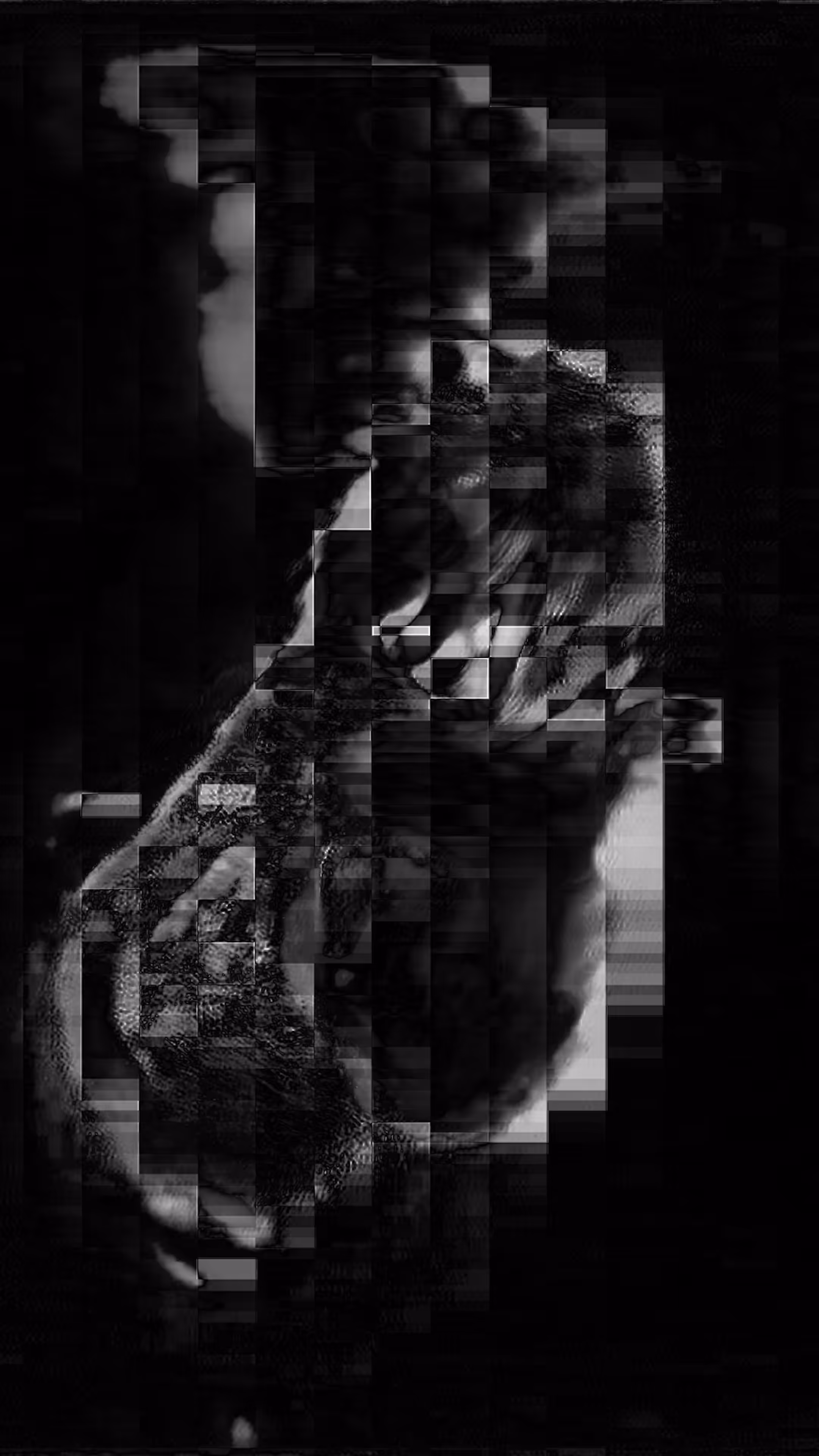 Spectrum 04β