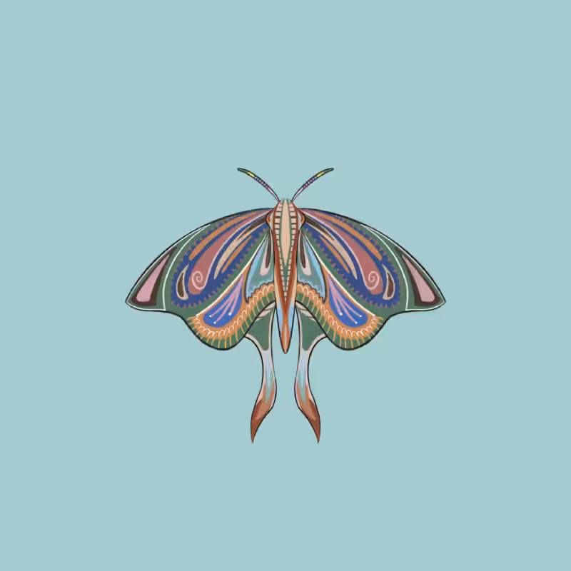 The Moth Experiment 2.0 P2 #14