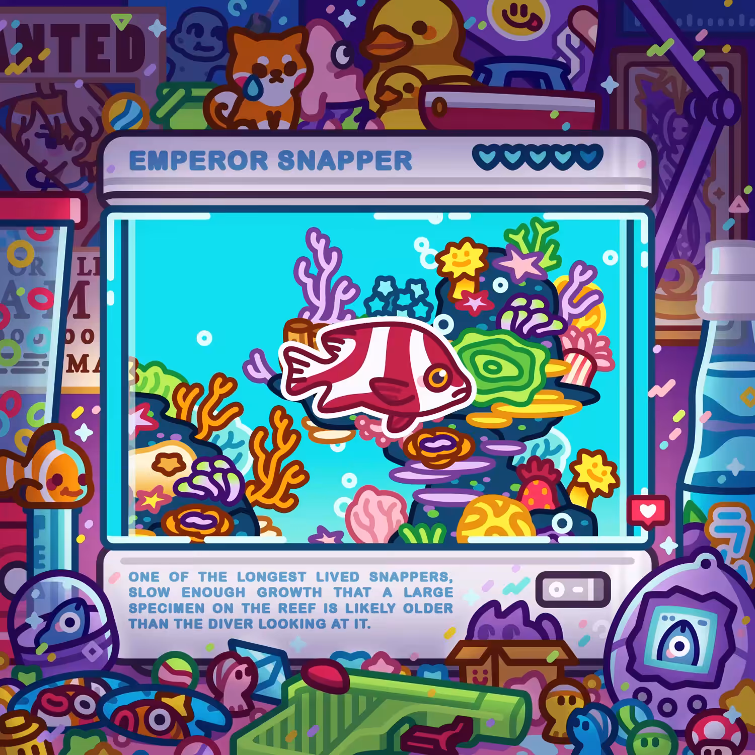 Emperor Snapper