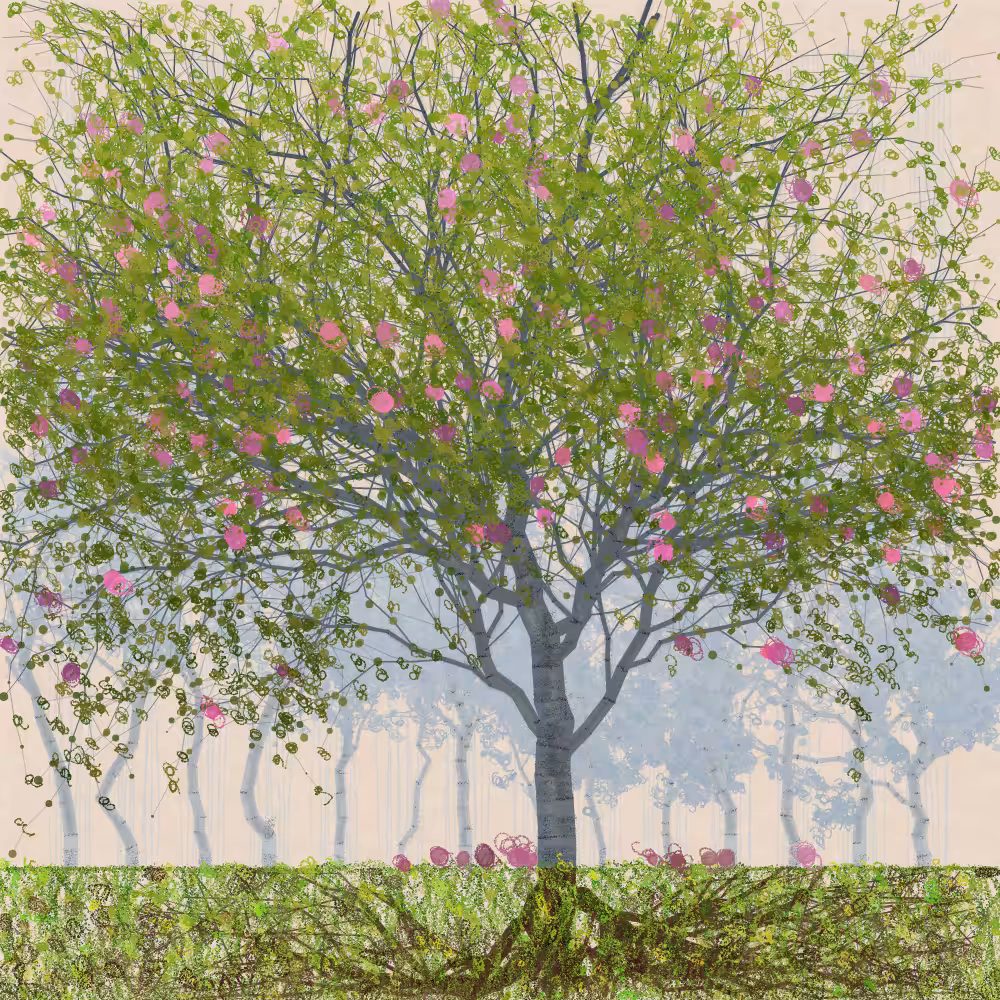 Orchard #291