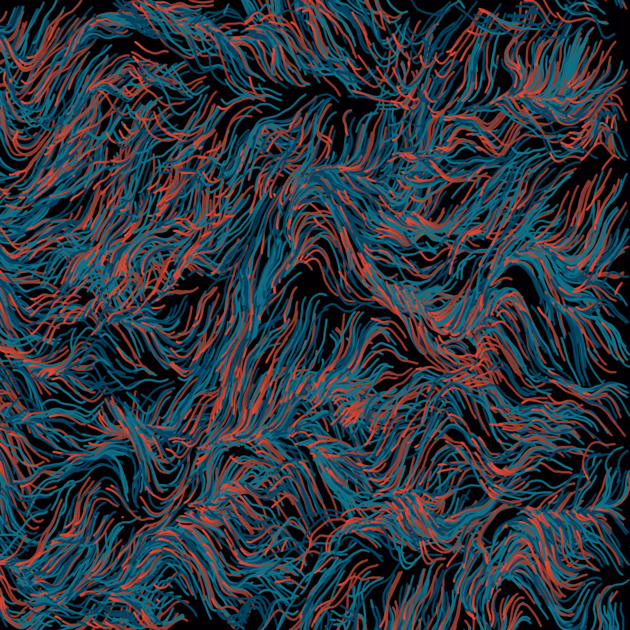 The Coral Reef #3