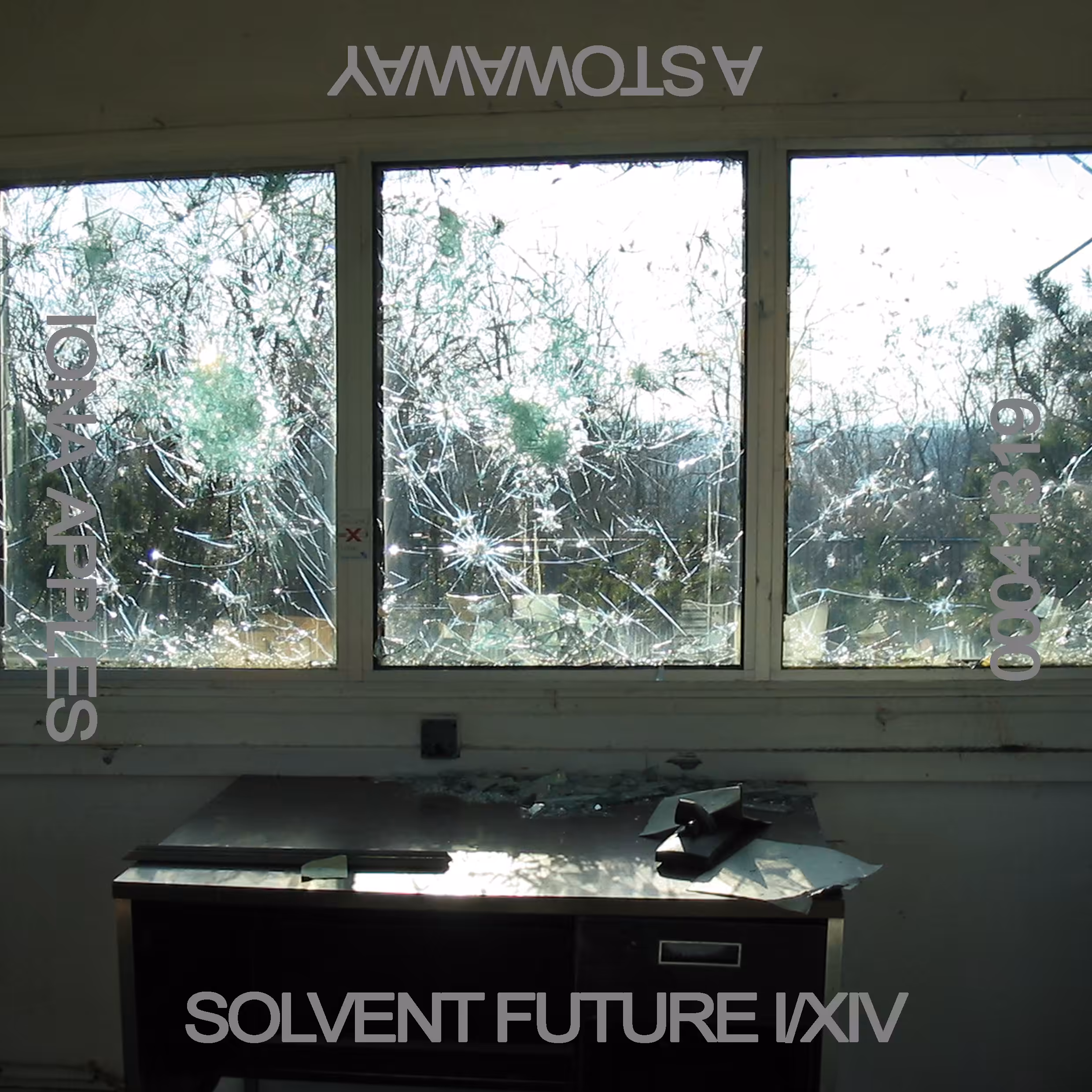 00041319 / SOLVENT FUTURE I/XIV