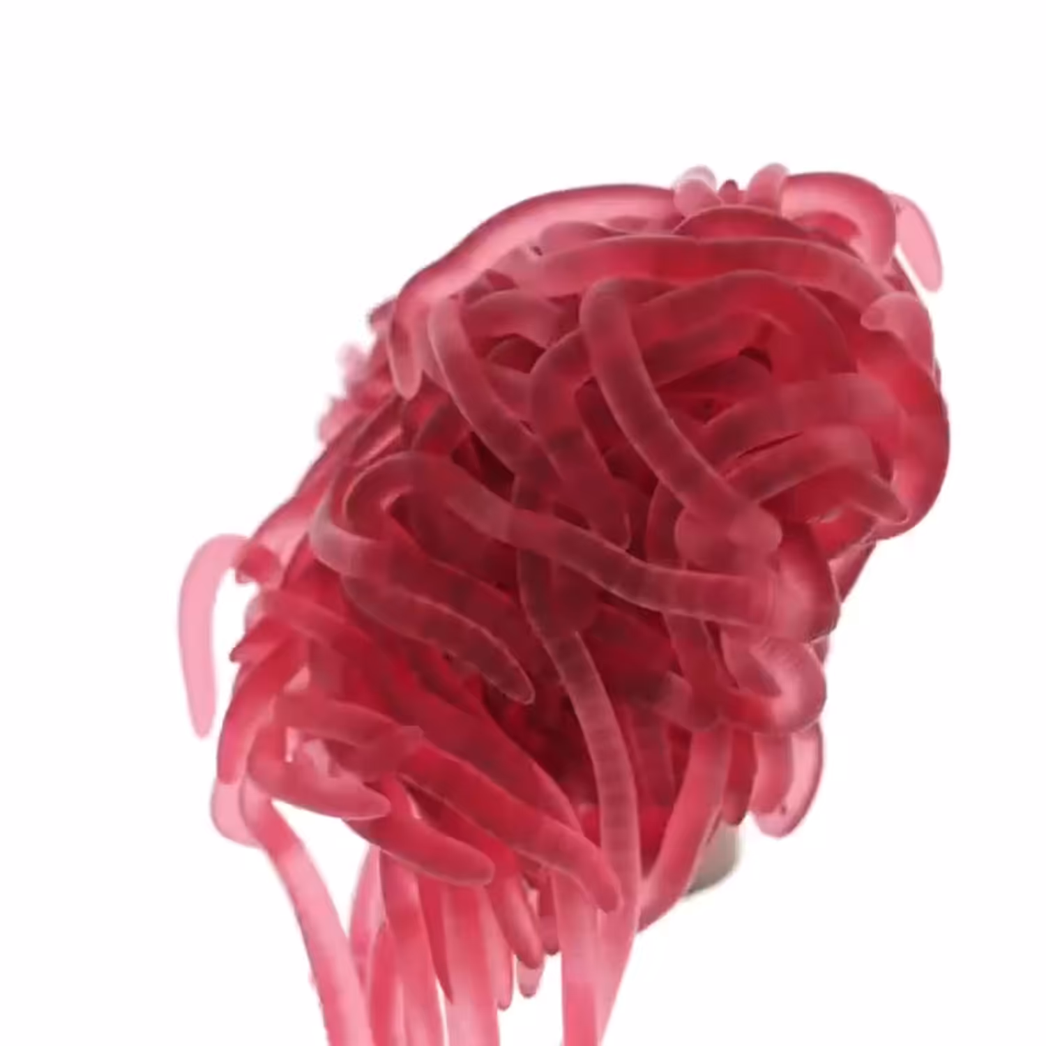 Pink Worms Loop