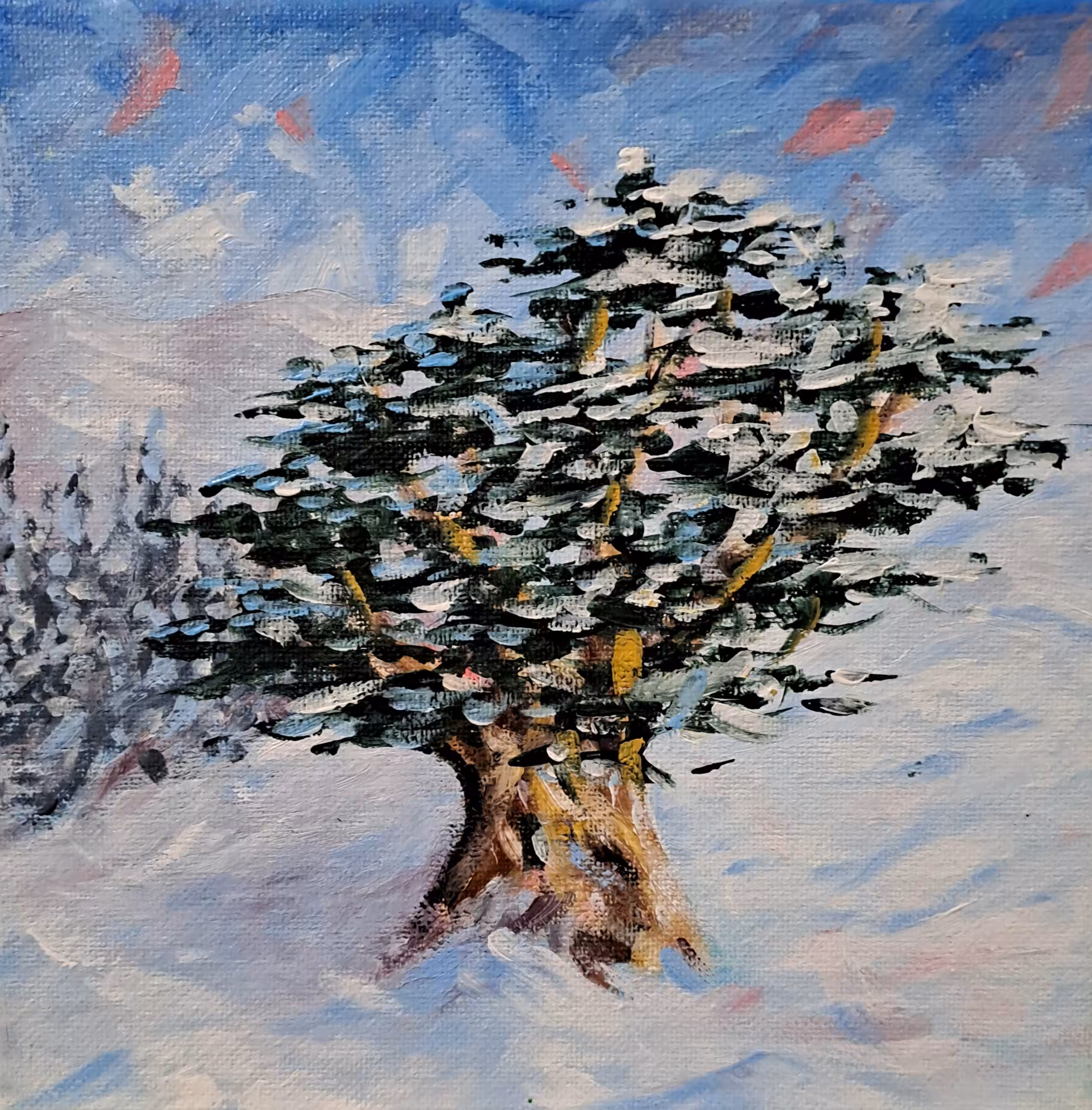 Life Of A Cedar  #33