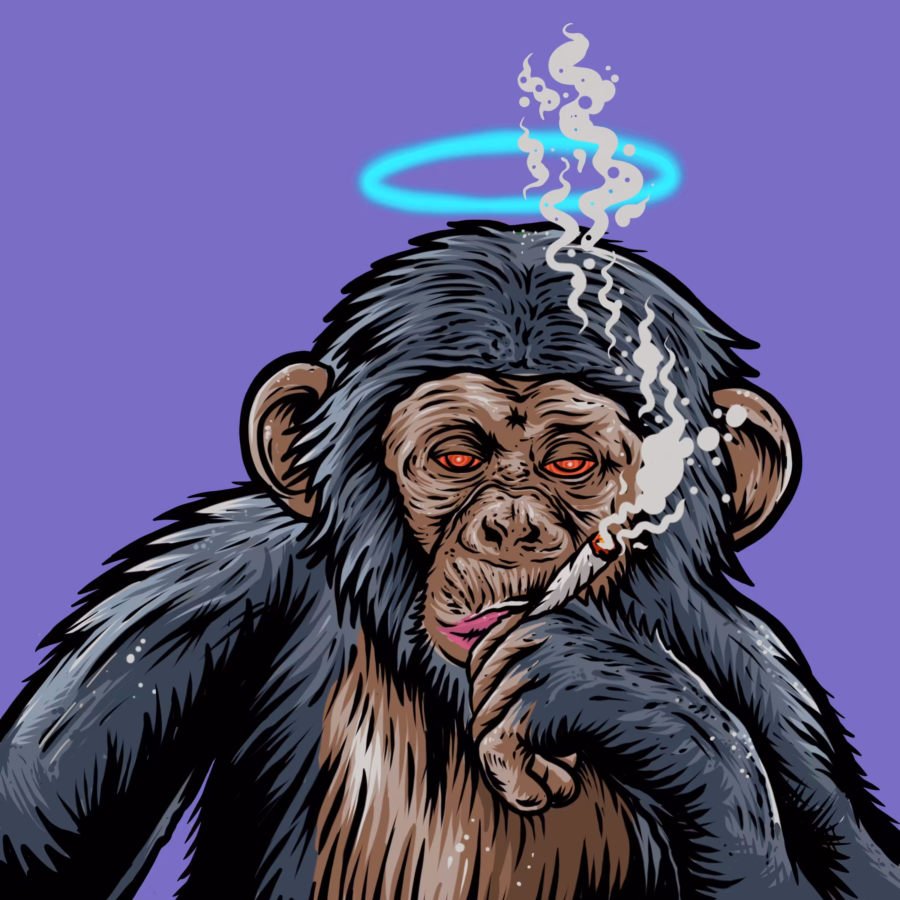 junkymonkey