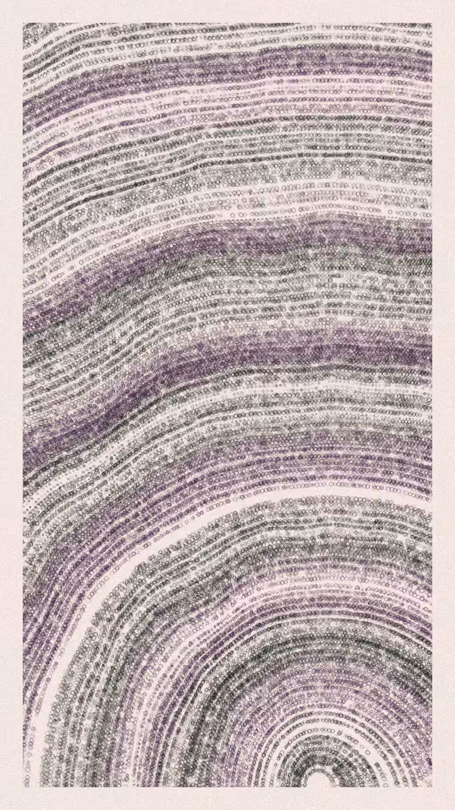 Garabatos #49