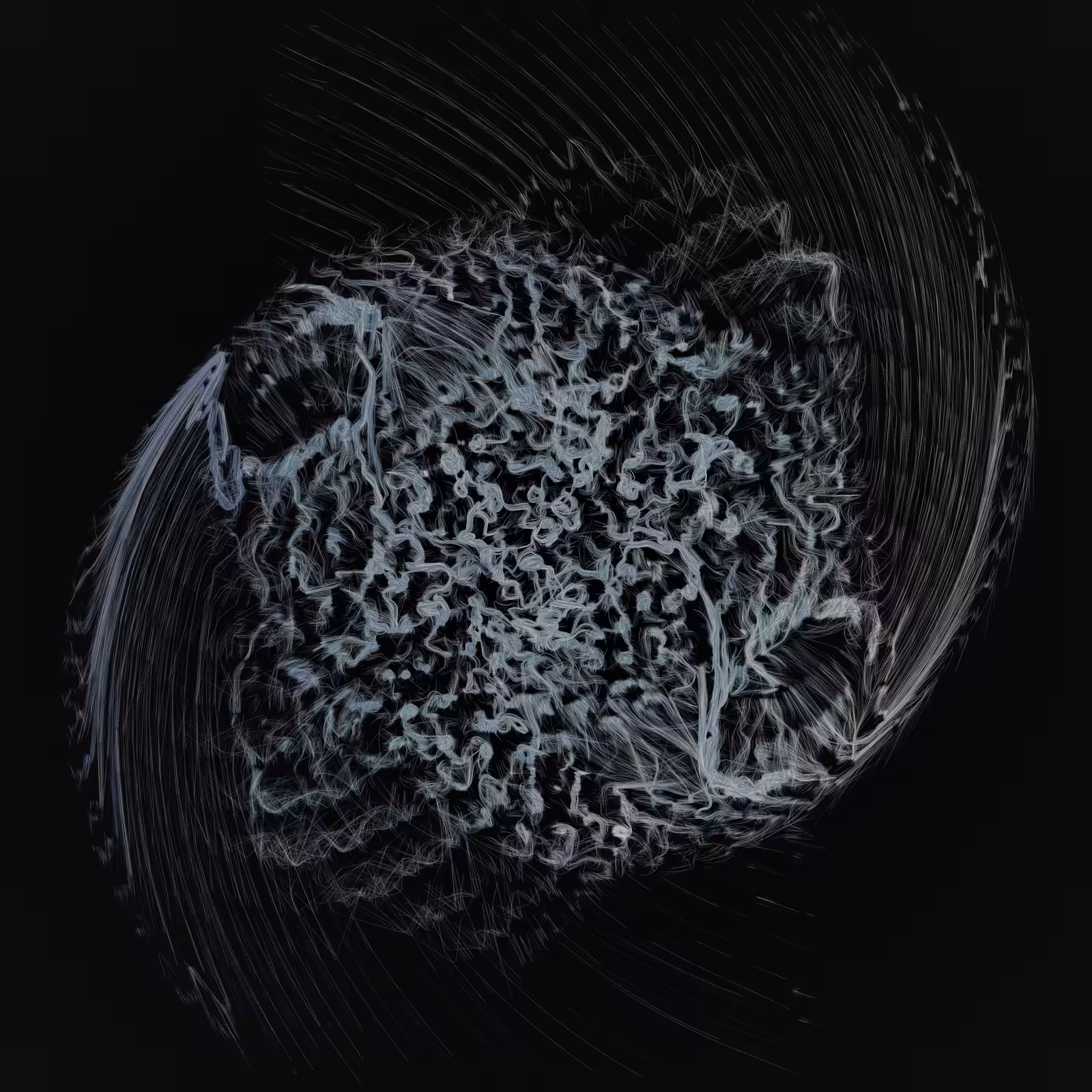 Dendrites #644