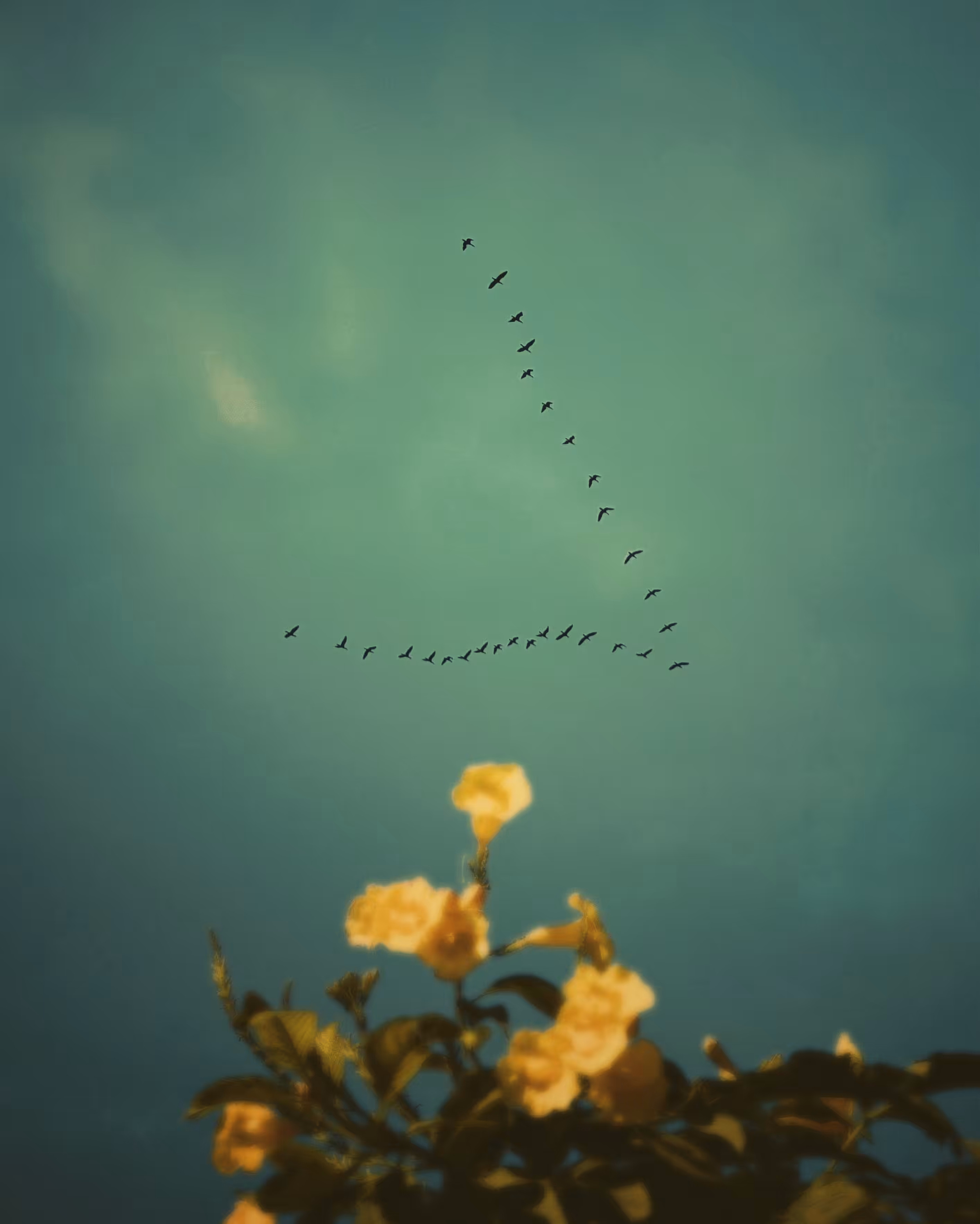 we are infinite