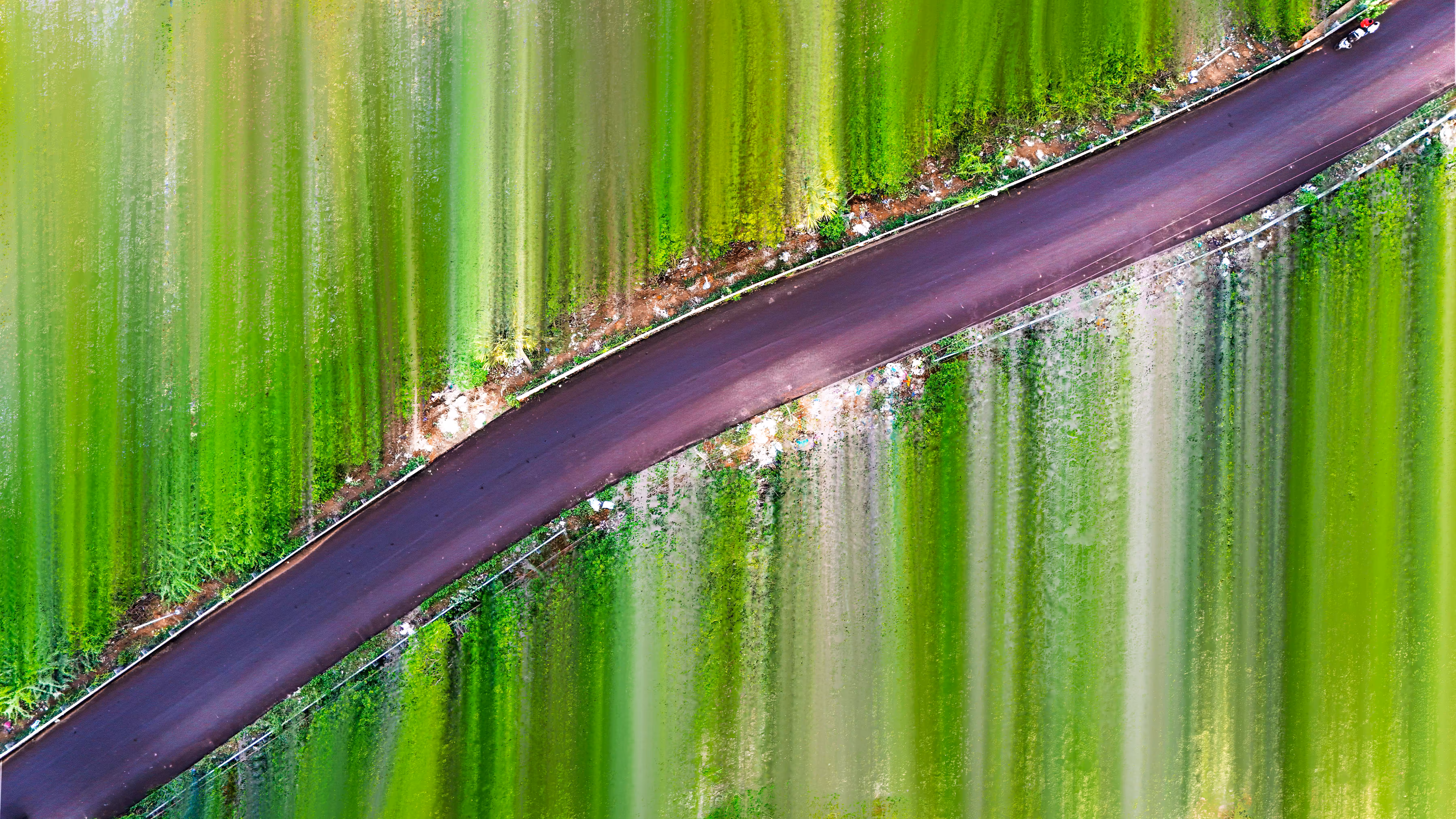 Shapes of Nature #1