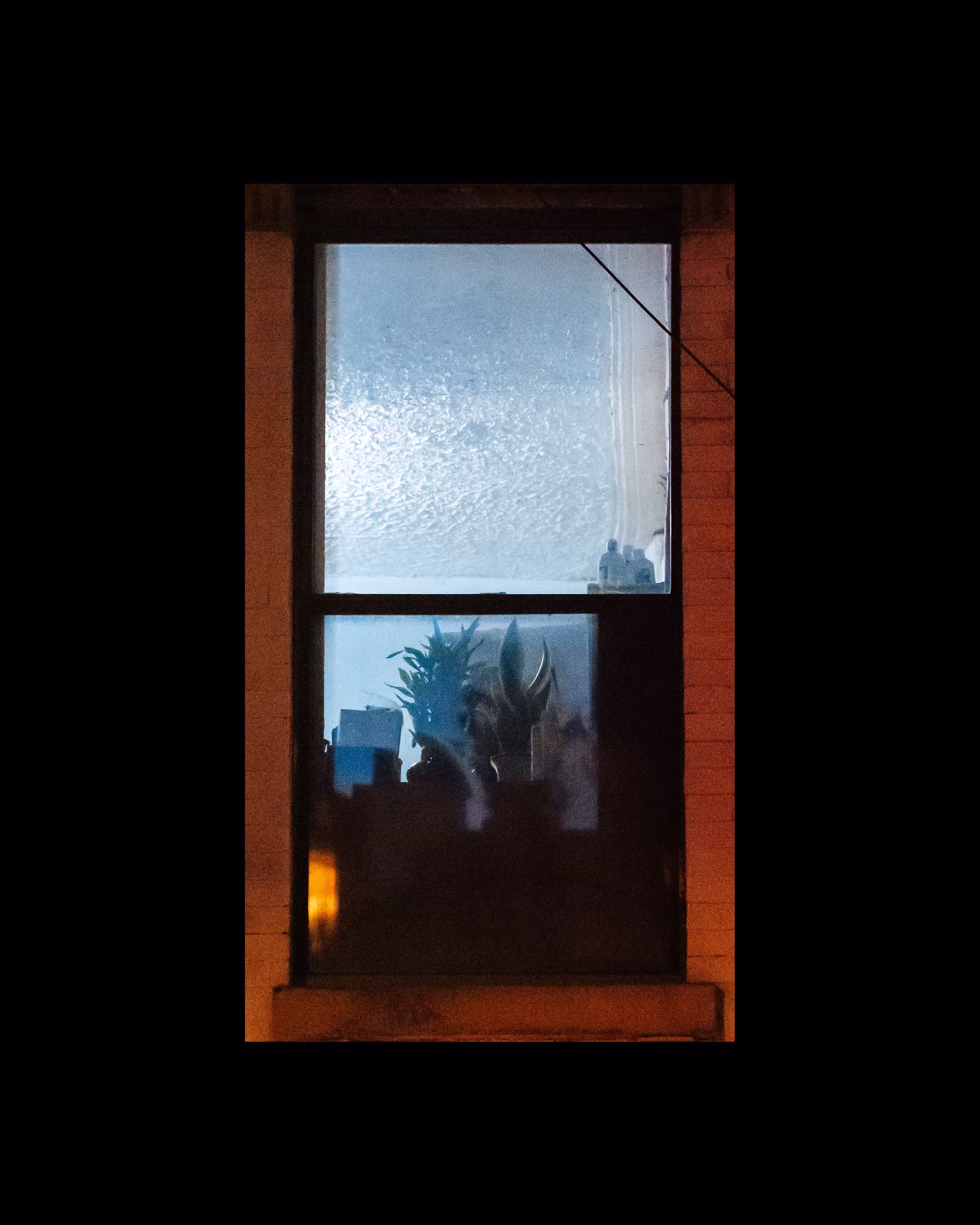 WINDOWS // NYC: WINDOW 122