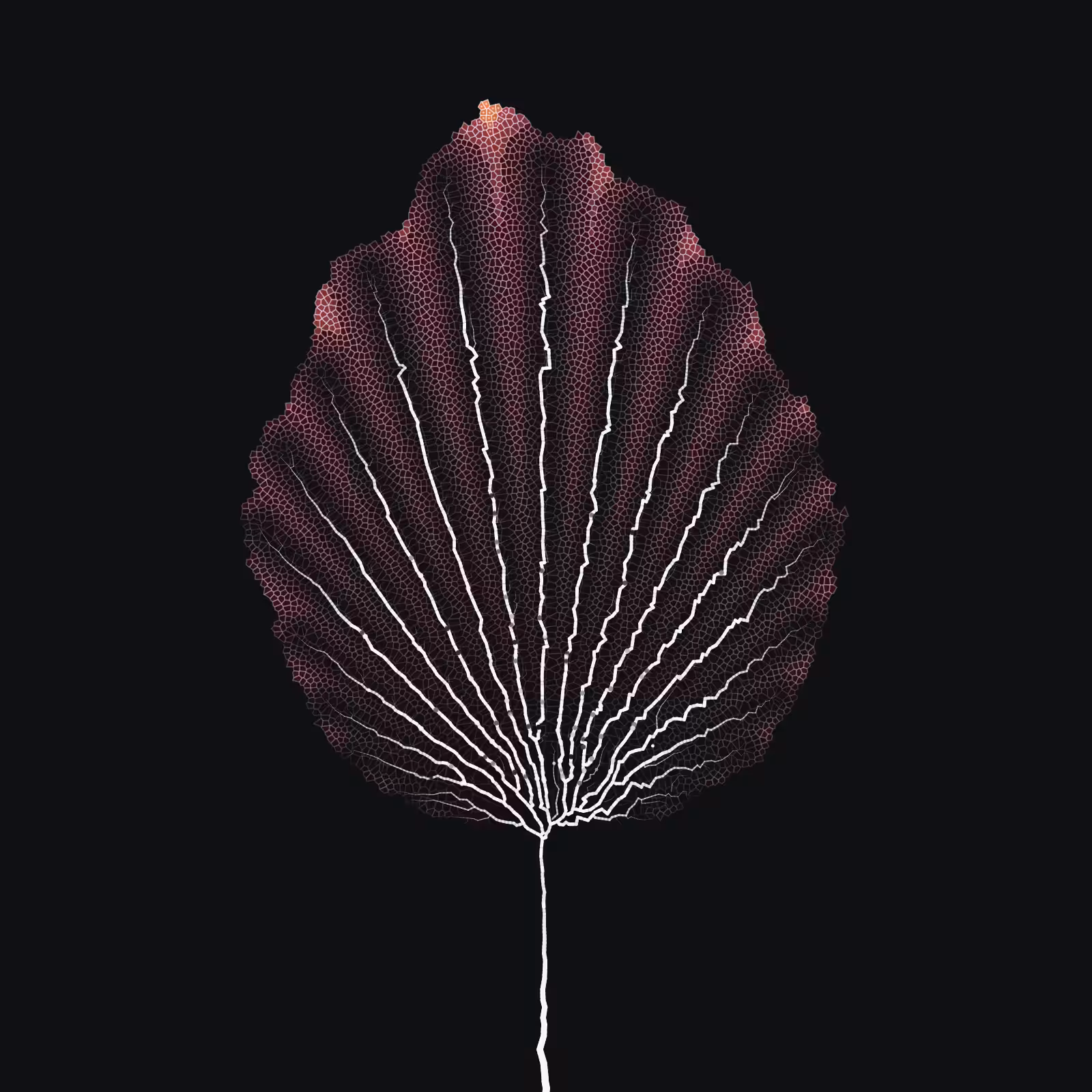 Leaf study #25
