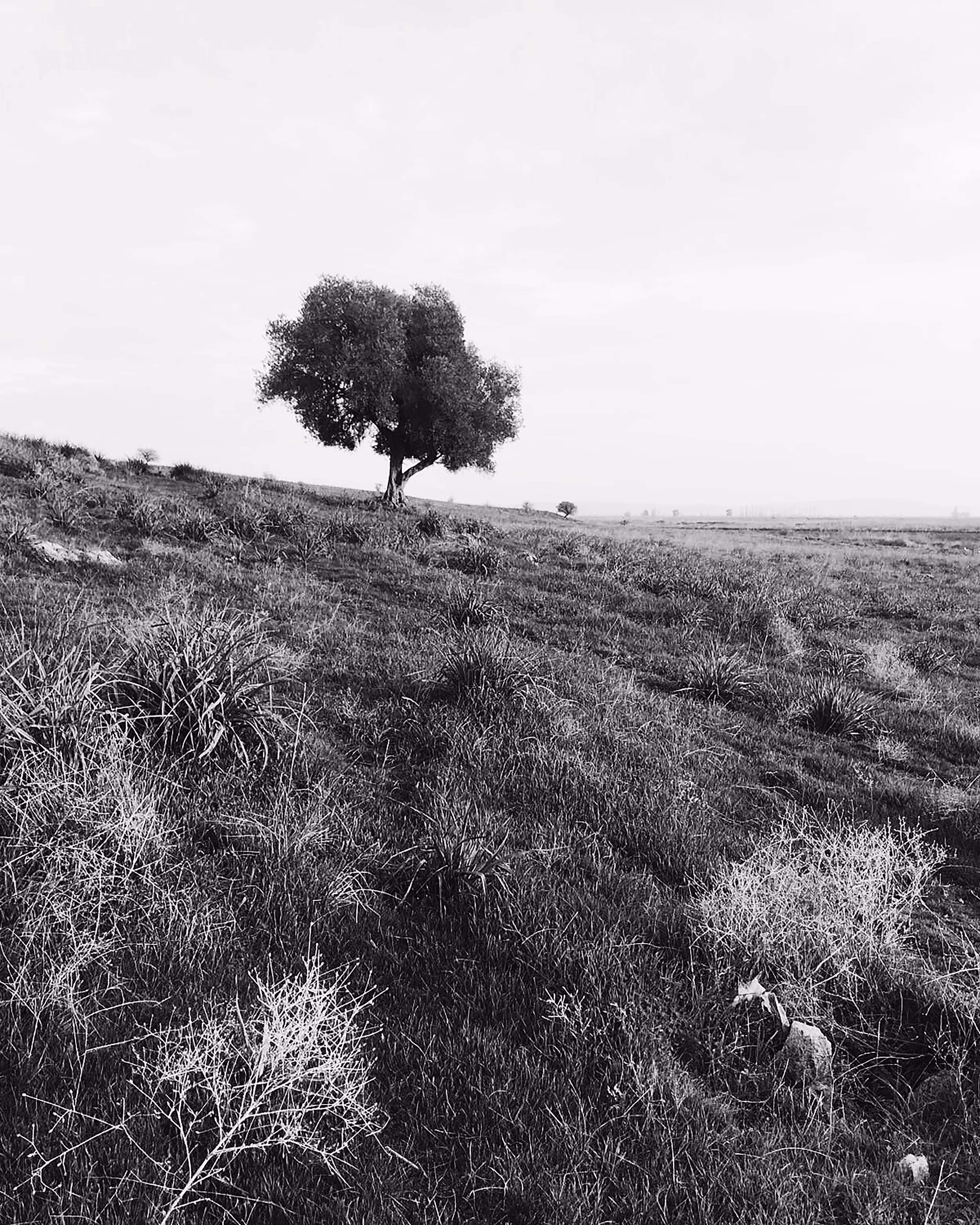 ALONE