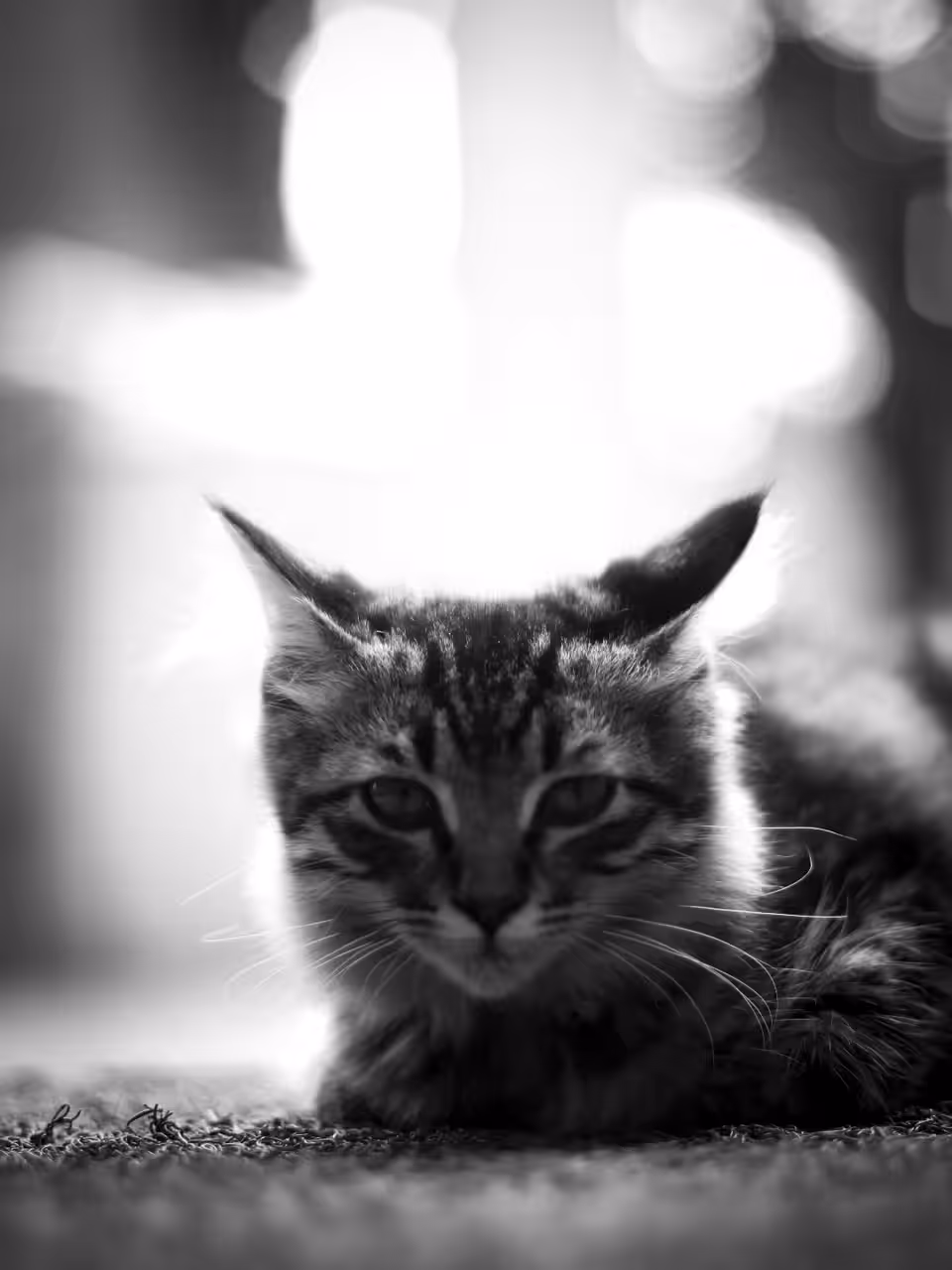 WINK
